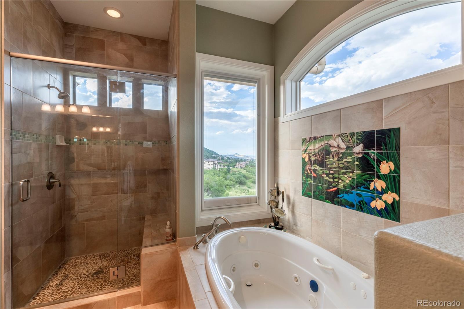 MLS Image #11 for 4797  ponderosa trail,littleton, Colorado