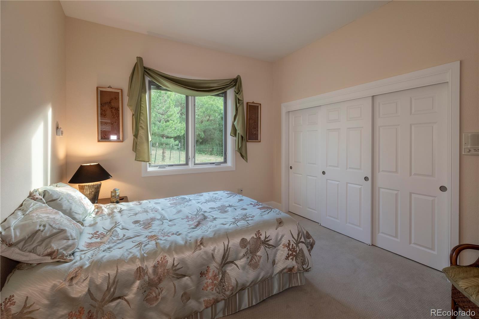MLS Image #14 for 4797  ponderosa trail,littleton, Colorado