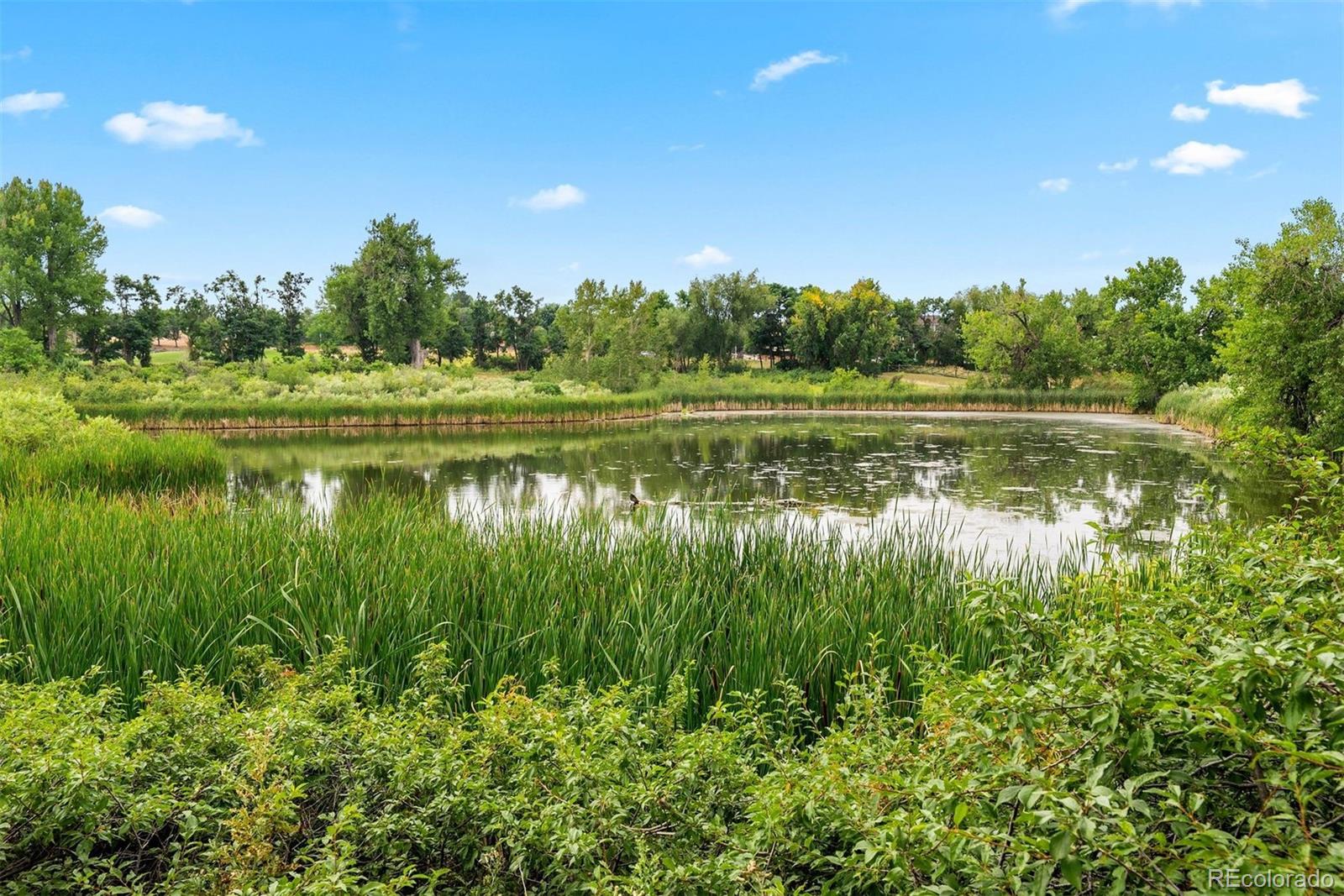 MLS Image #49 for 4607 w 105th way,westminster, Colorado