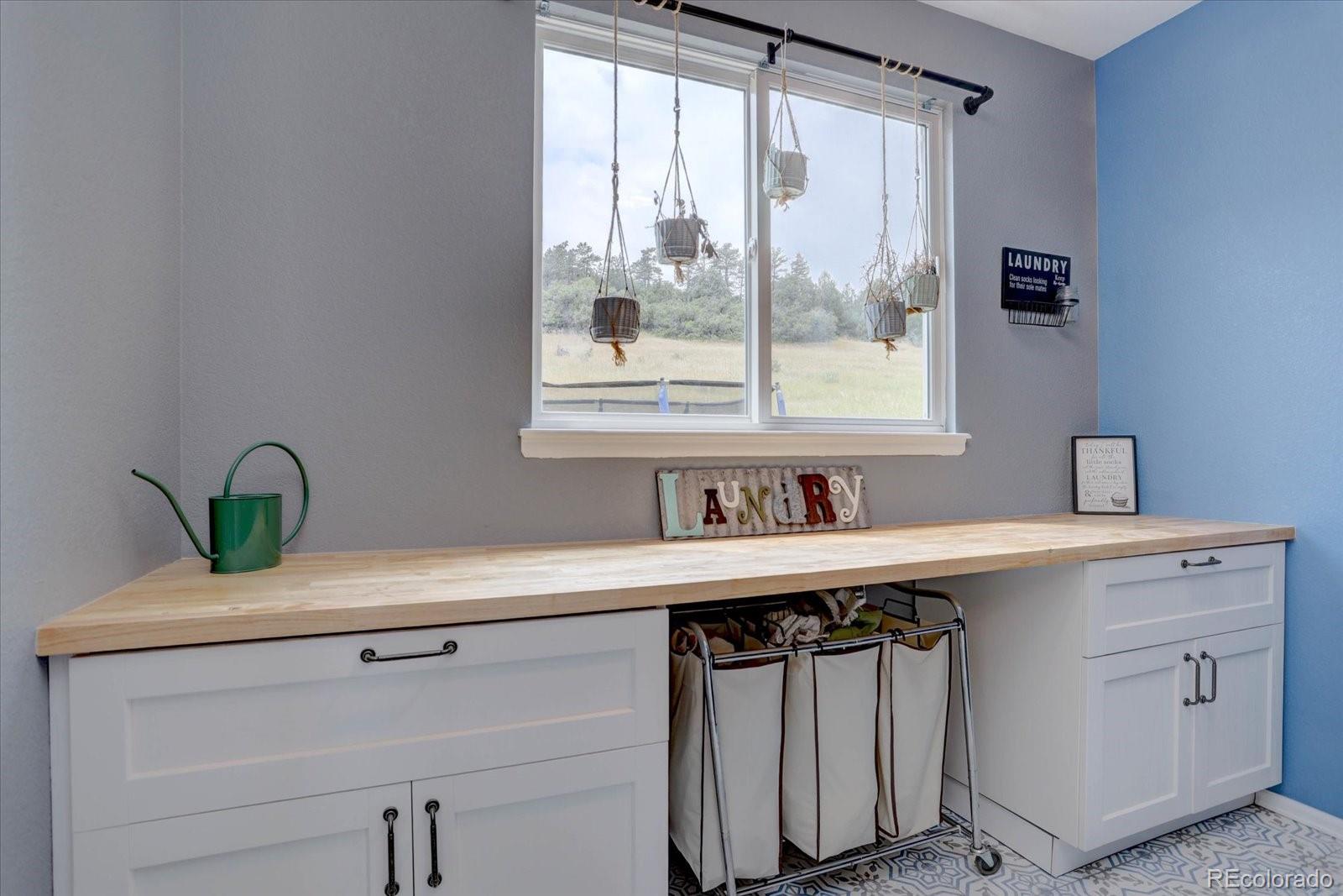 MLS Image #20 for 7217  red mesa court,littleton, Colorado