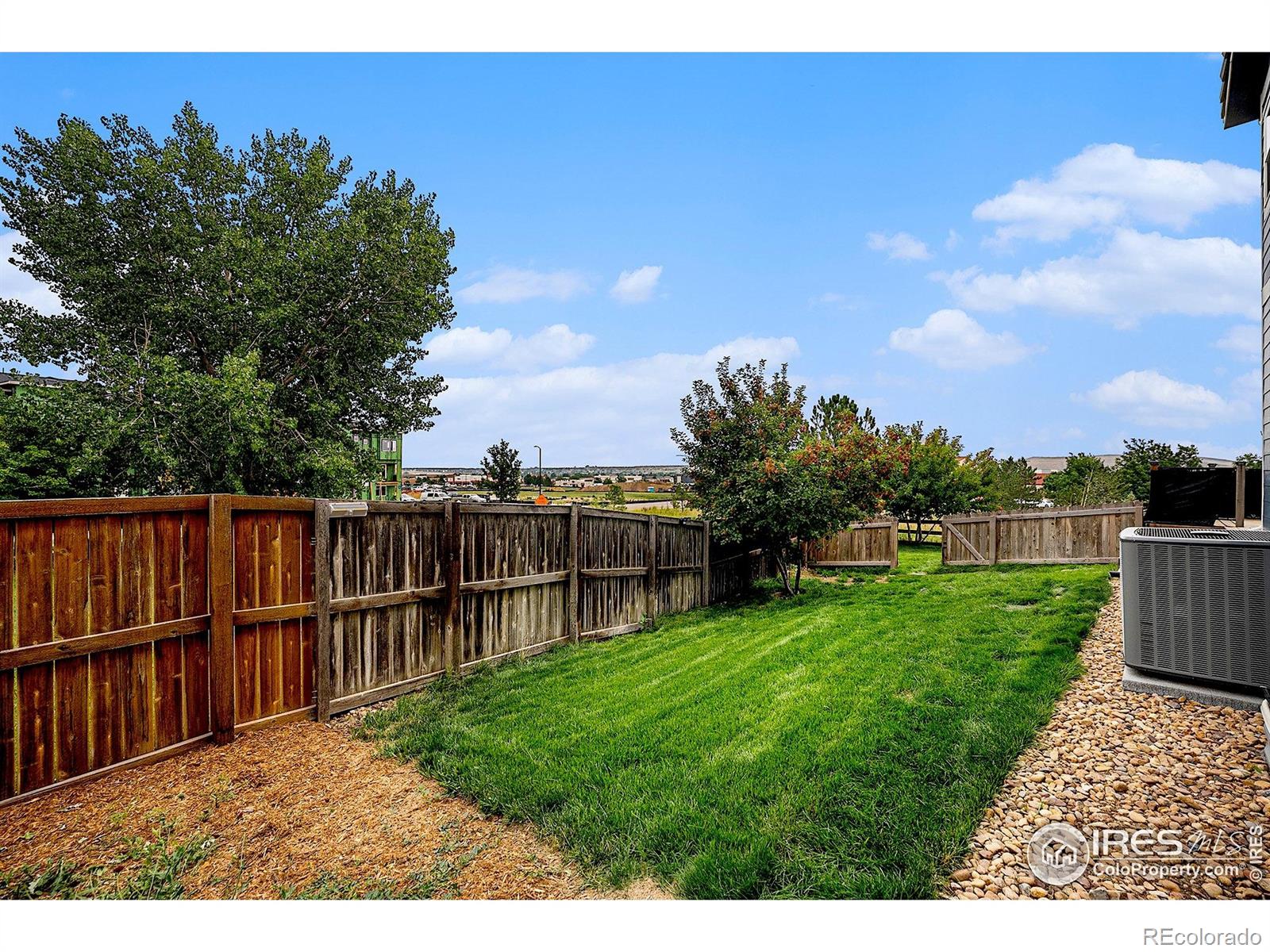MLS Image #23 for 403  graham way,erie, Colorado