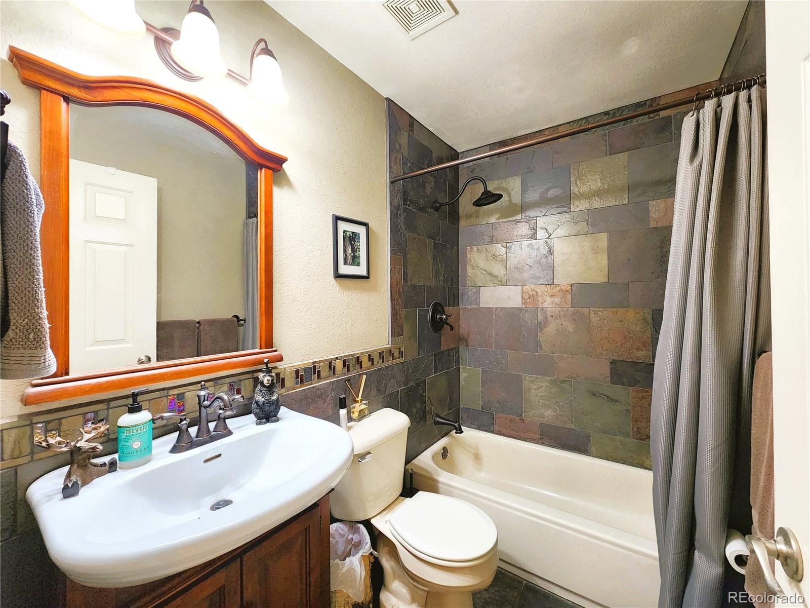 MLS Image #20 for 1113  biddle street,georgetown, Colorado