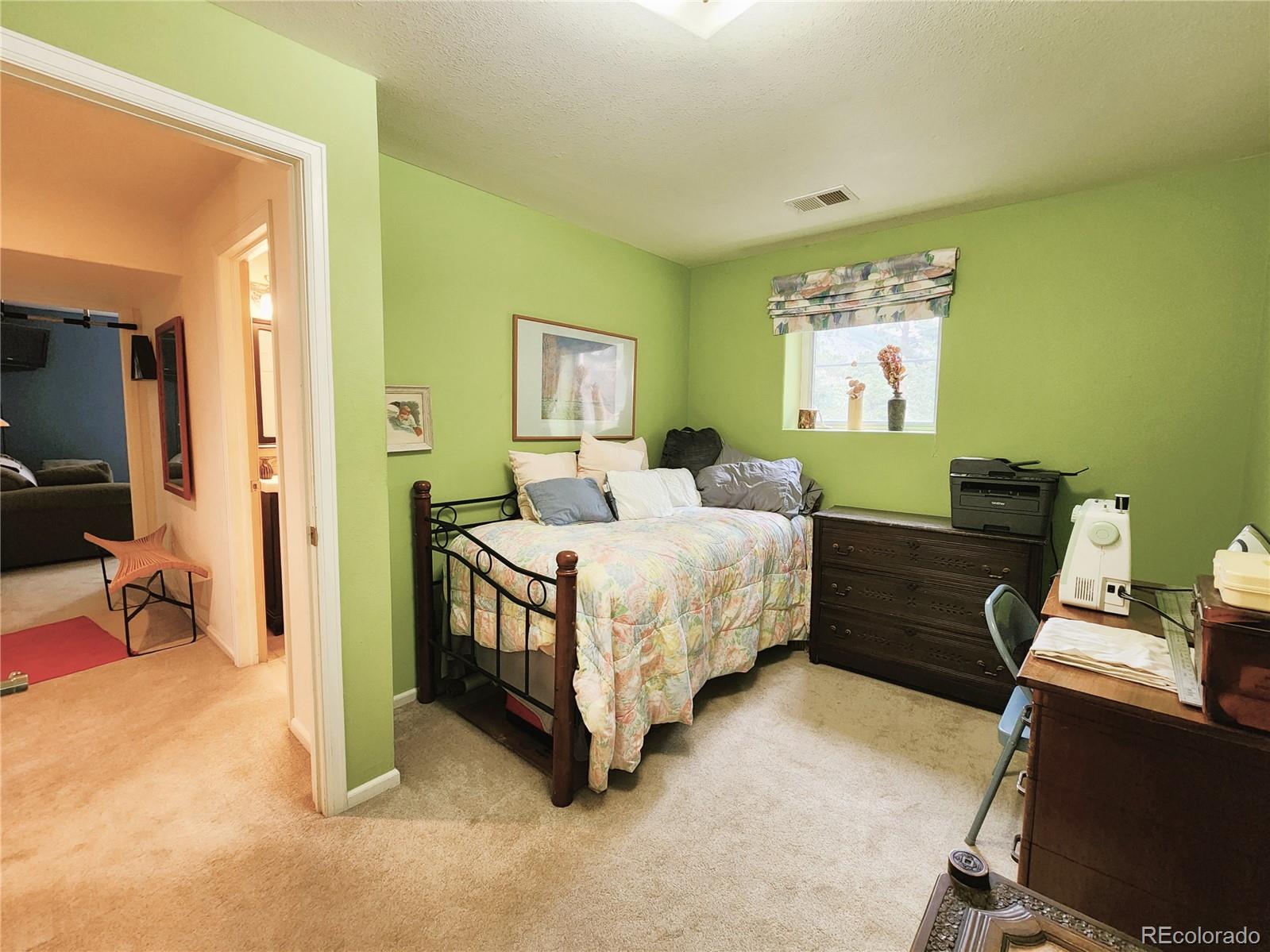MLS Image #21 for 1113  biddle street,georgetown, Colorado