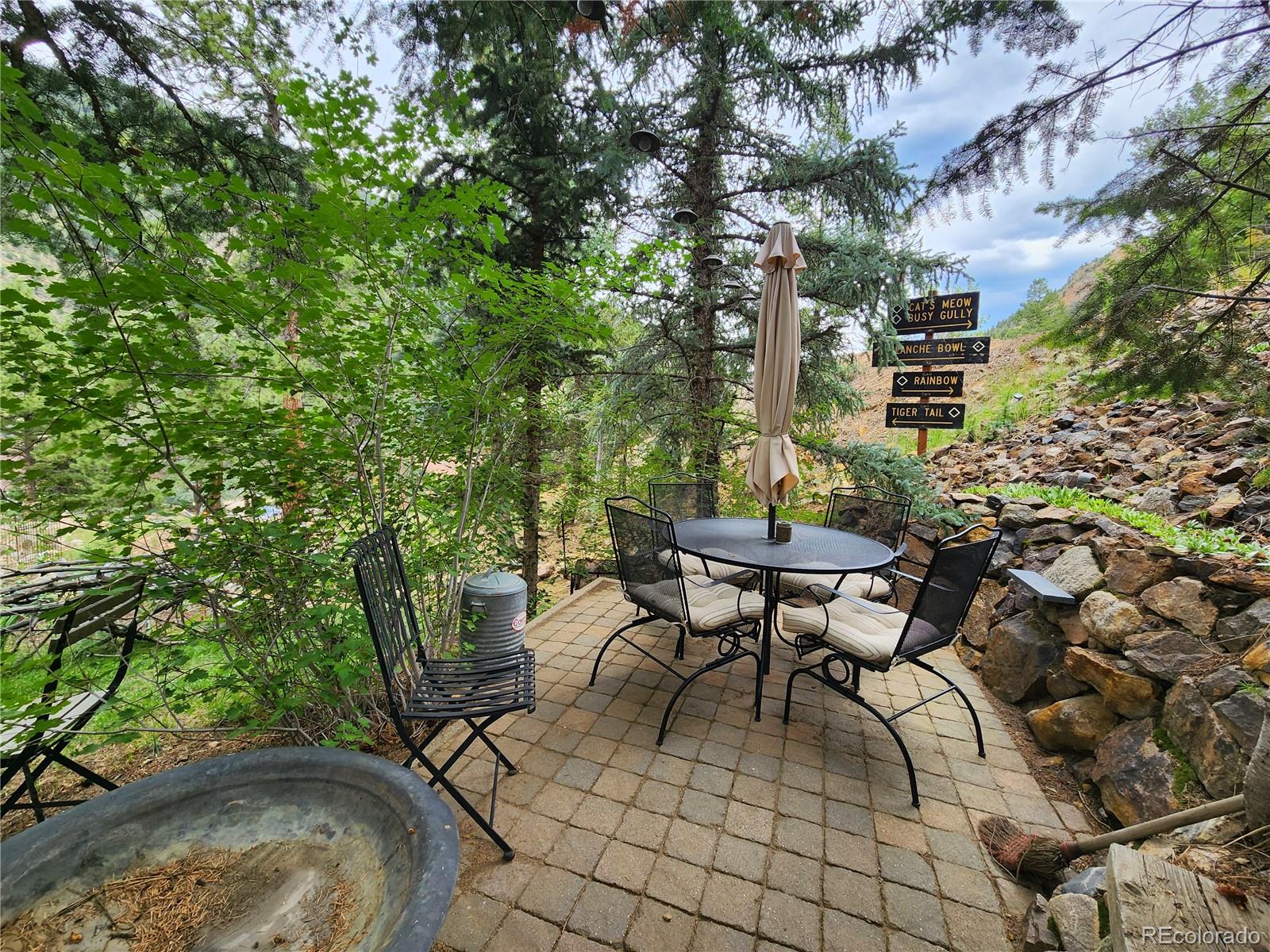 MLS Image #26 for 1113  biddle street,georgetown, Colorado