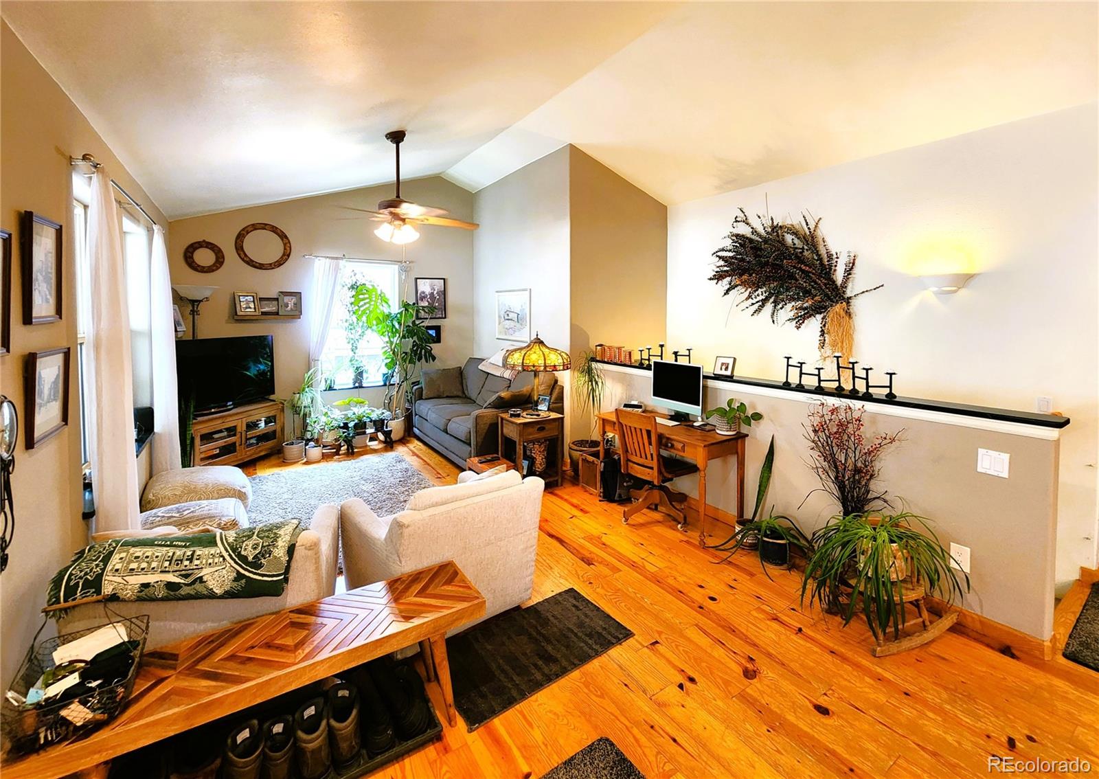 MLS Image #7 for 1113  biddle street,georgetown, Colorado