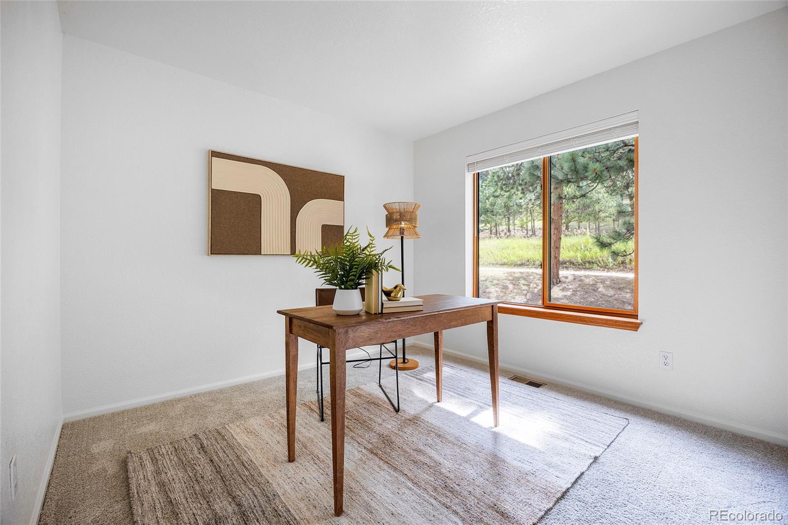 MLS Image #20 for 478  chickadee lane,bailey, Colorado