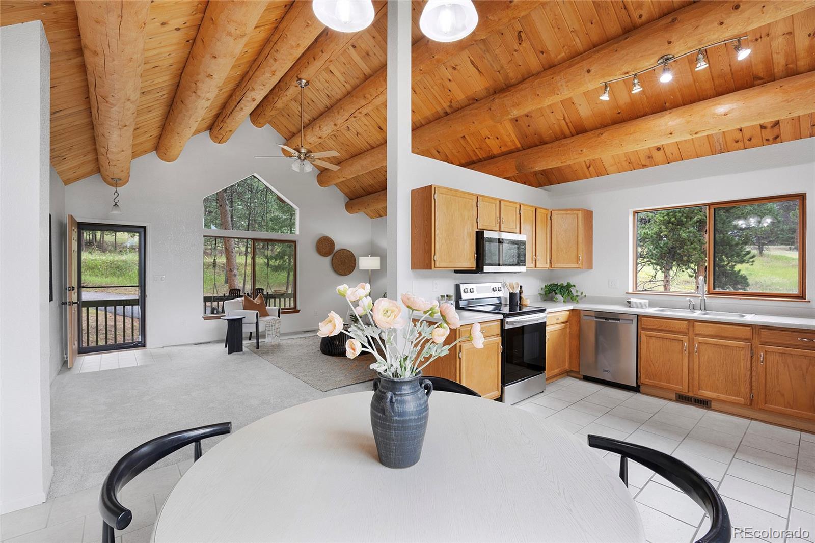 MLS Image #3 for 478  chickadee lane,bailey, Colorado