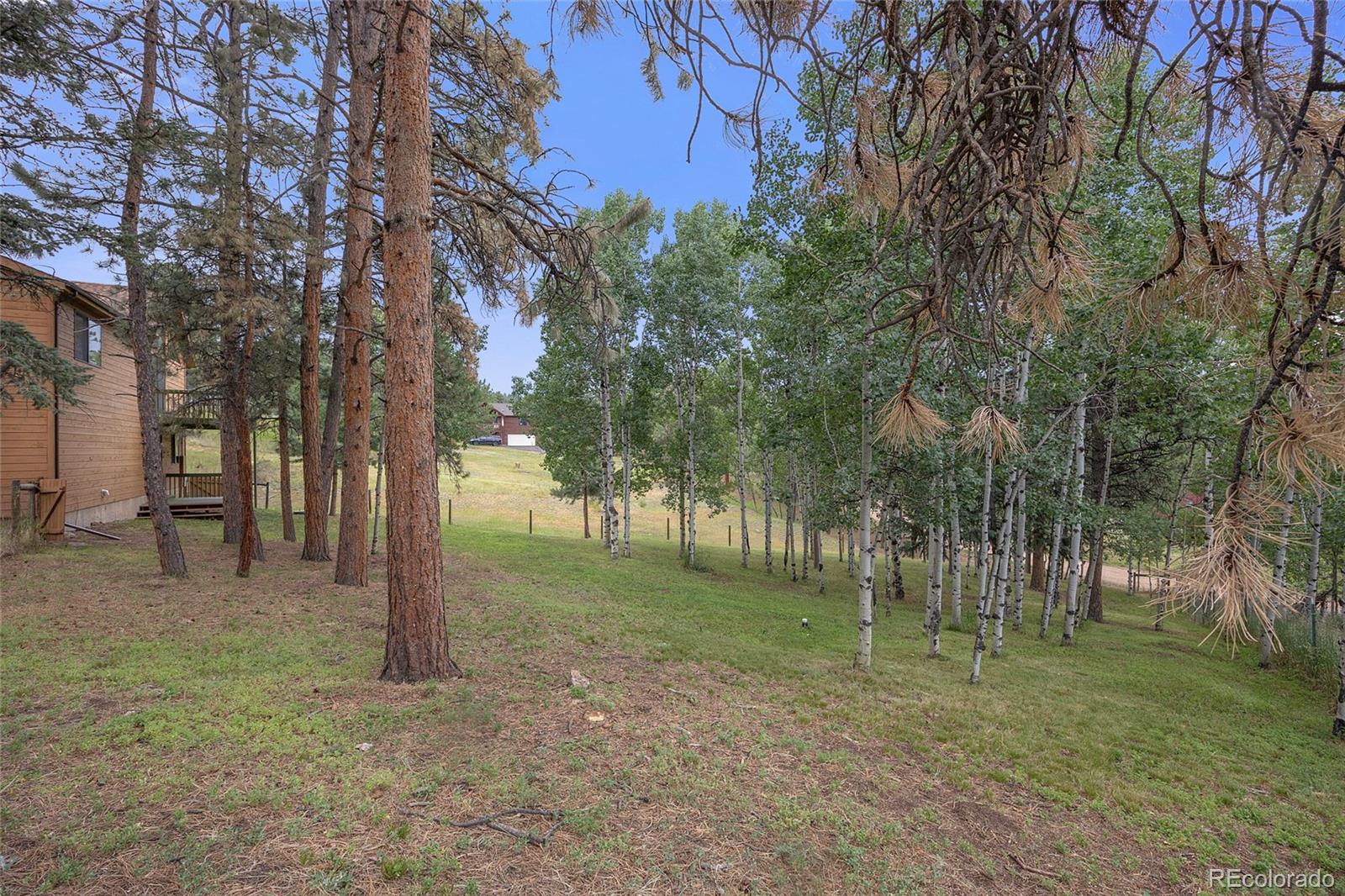MLS Image #31 for 478  chickadee lane,bailey, Colorado