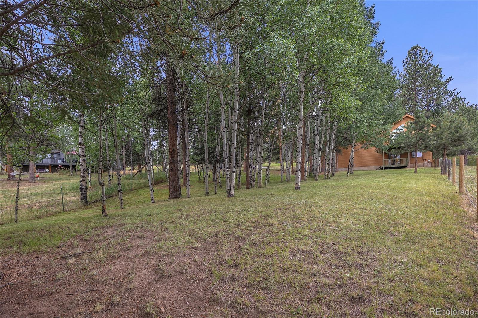 MLS Image #32 for 478  chickadee lane,bailey, Colorado