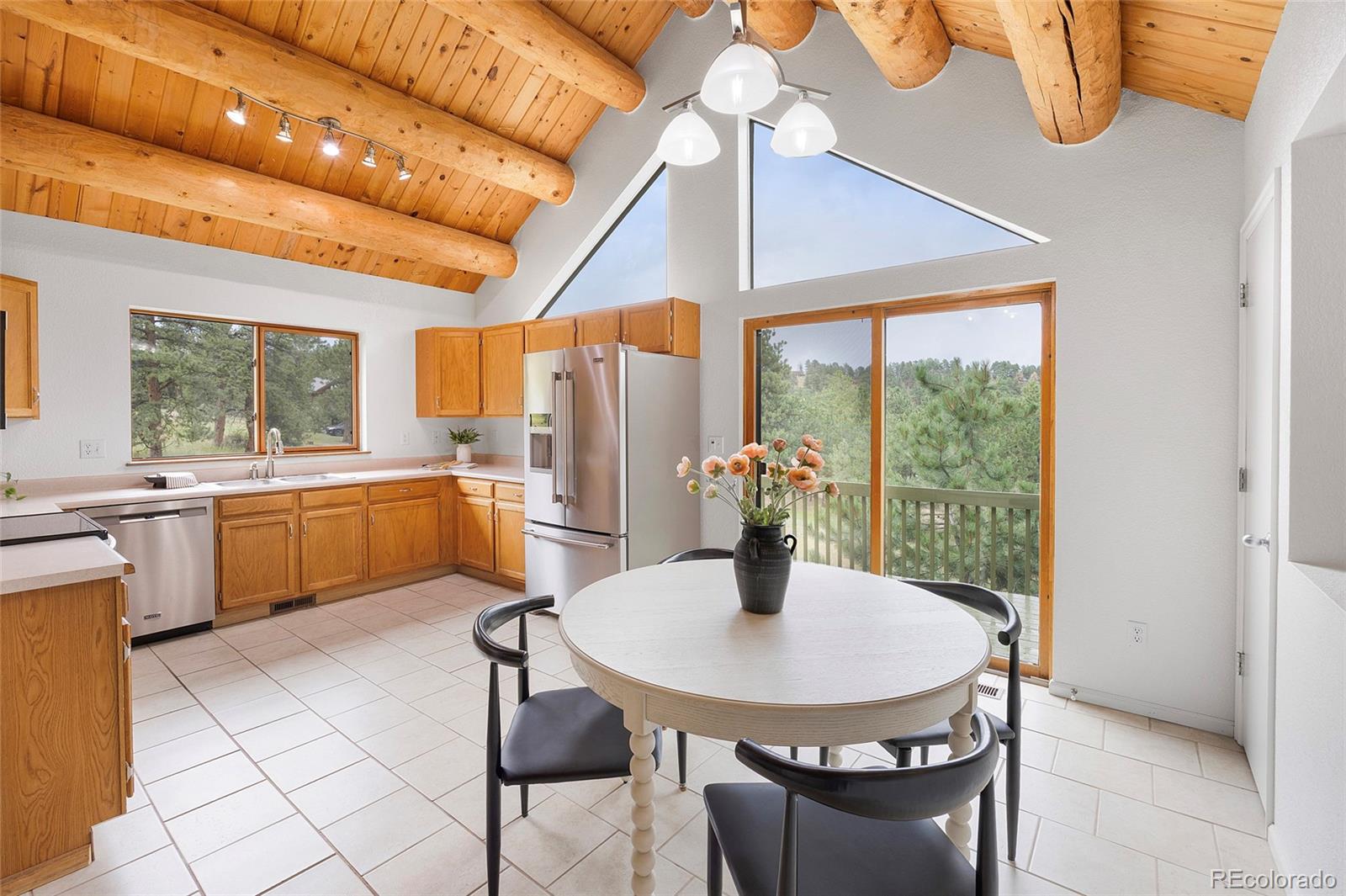 MLS Image #6 for 478  chickadee lane,bailey, Colorado