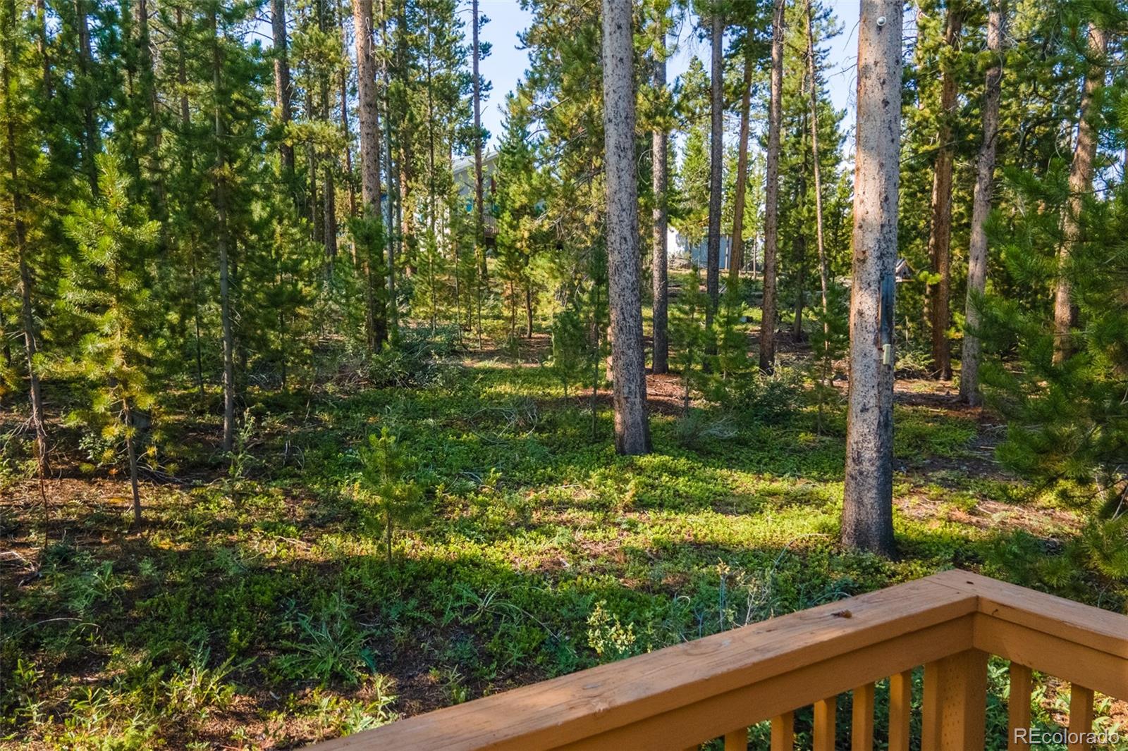 MLS Image #7 for 345  county road 4624 ,grand lake, Colorado