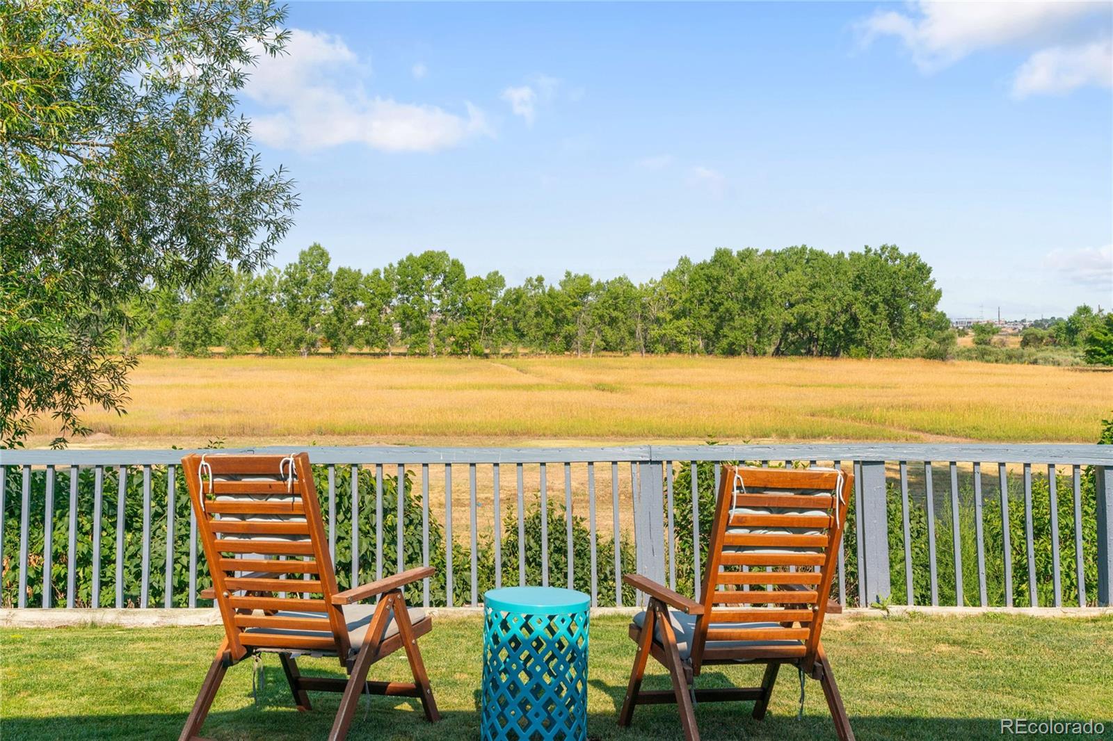 CMA Image for 12429  Country Meadows Drive,Parker, Colorado