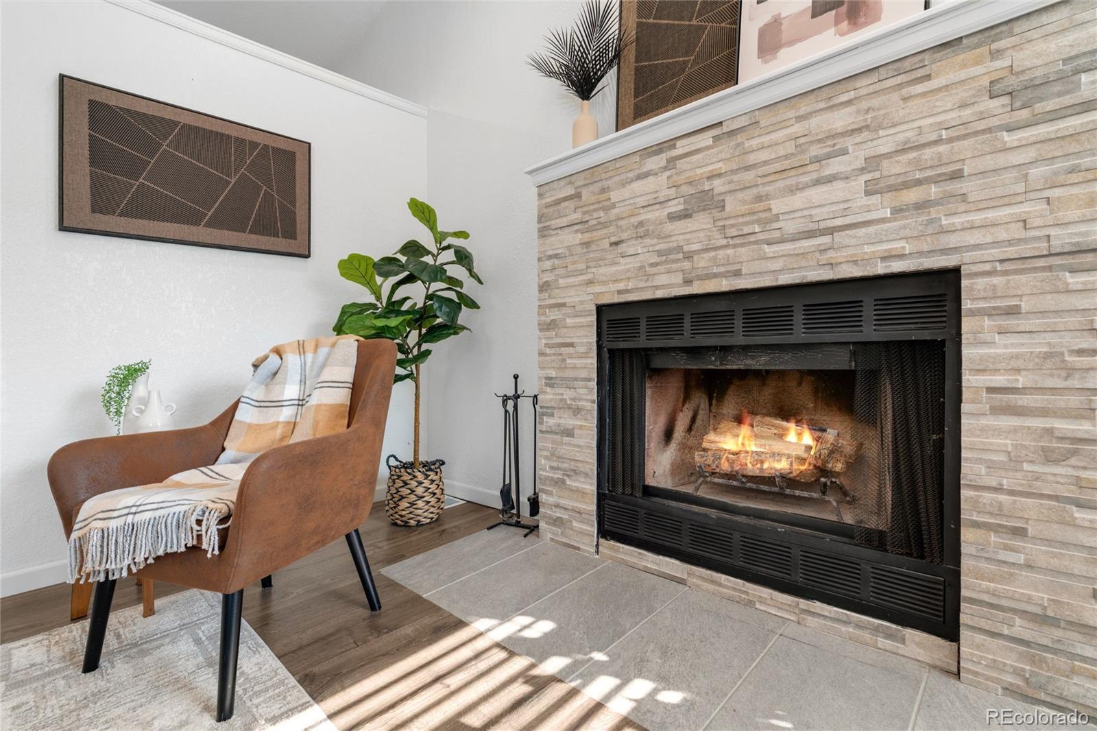 MLS Image #12 for 12429  country meadows drive,parker, Colorado