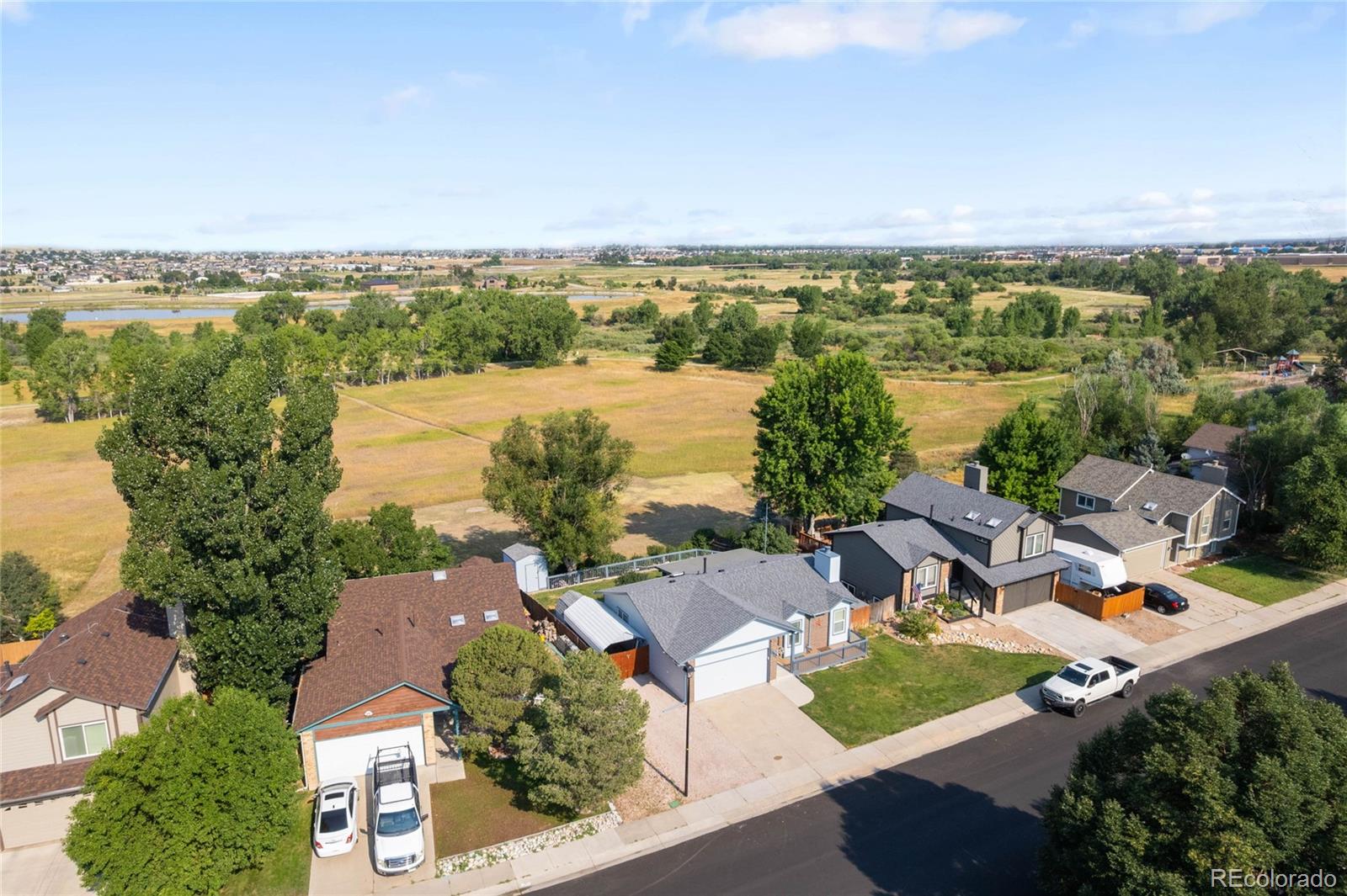 MLS Image #3 for 12429  country meadows drive,parker, Colorado