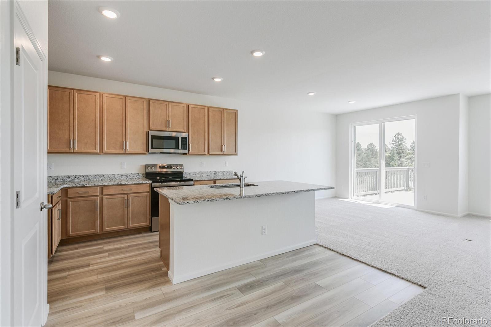 MLS Image #10 for 4350  soapberry place,castle rock, Colorado