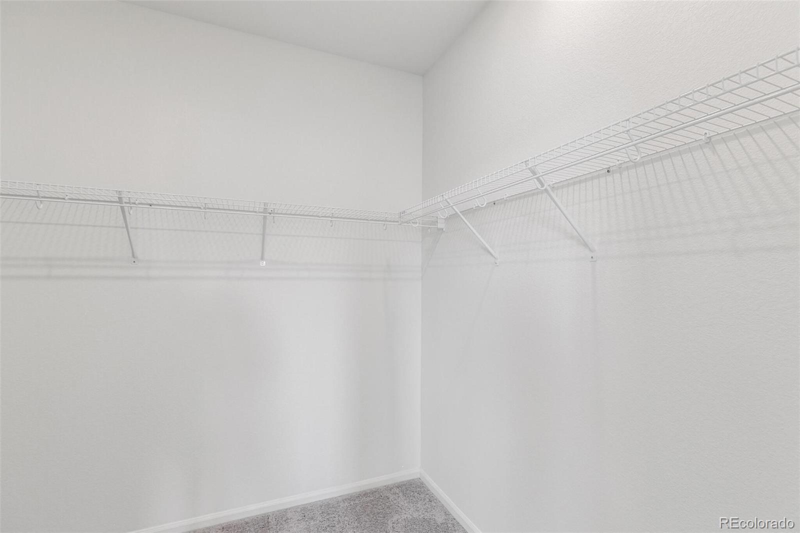 MLS Image #26 for 4350  soapberry place,castle rock, Colorado