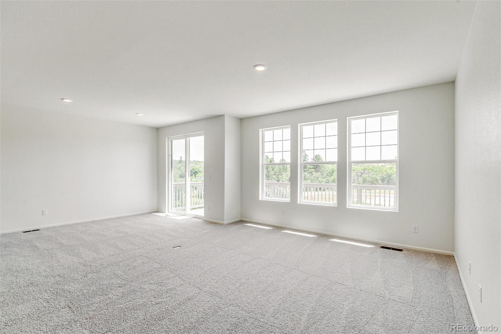 MLS Image #6 for 4350  soapberry place,castle rock, Colorado