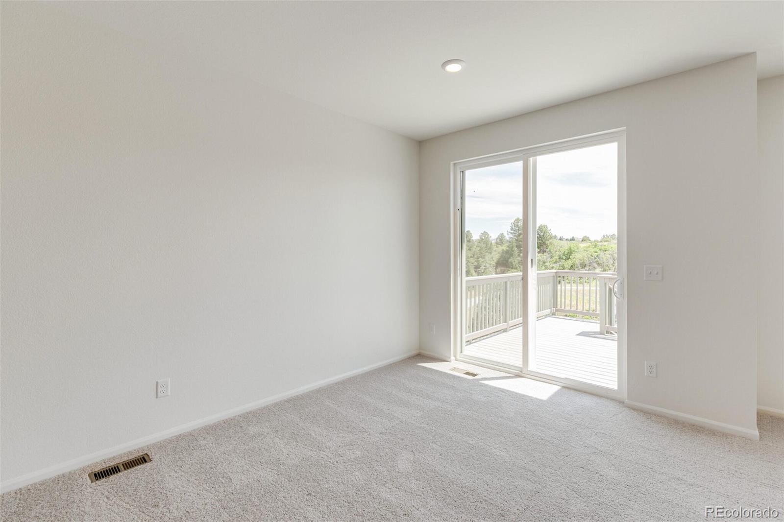 MLS Image #7 for 4350  soapberry place,castle rock, Colorado