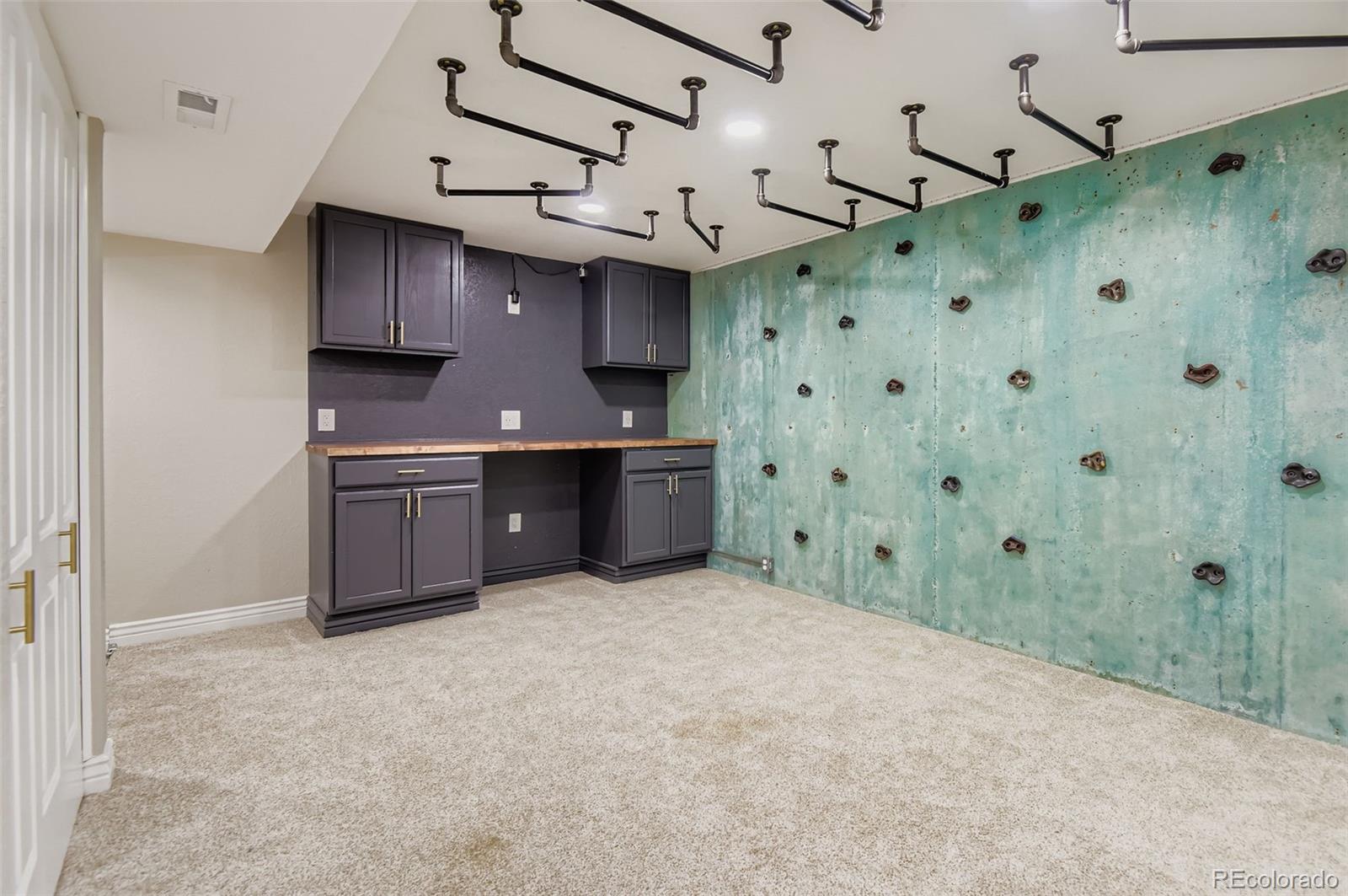 MLS Image #23 for 21743  farmingdale court,parker, Colorado
