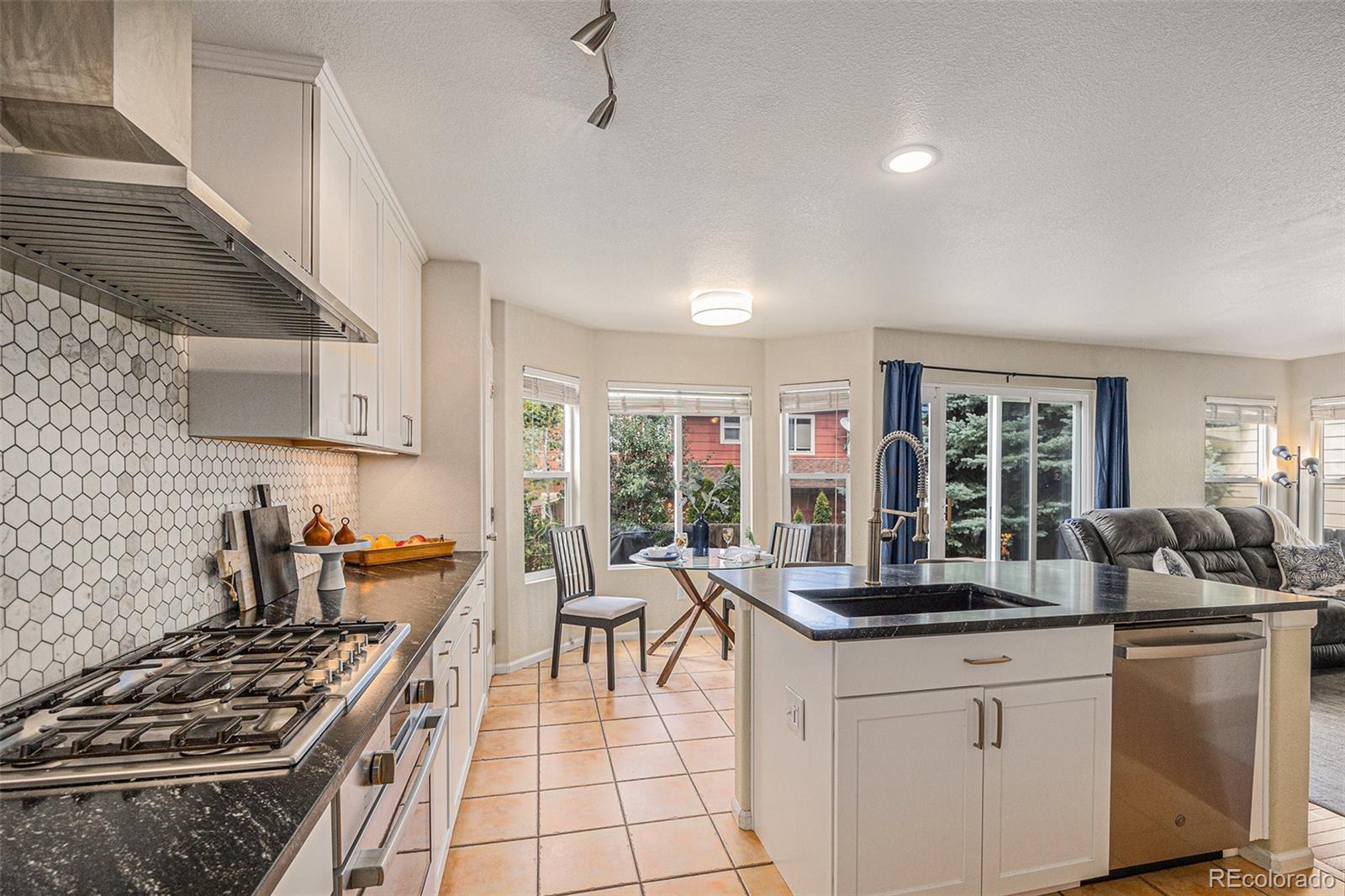MLS Image #6 for 3289  cummings drive,erie, Colorado