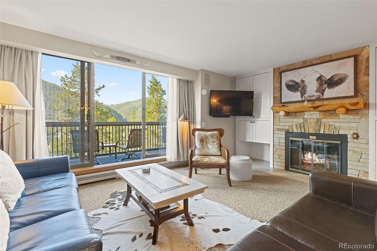 MLS Image #12 for 22097  saints john road,dillon, Colorado