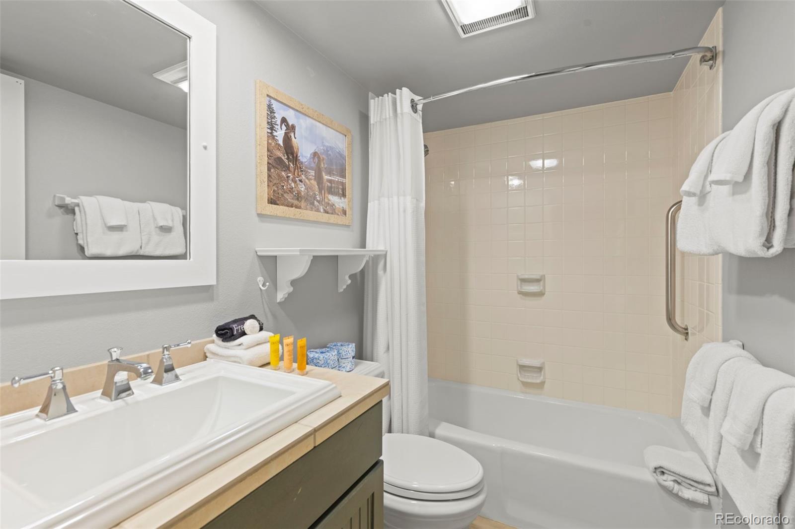MLS Image #26 for 22097  saints john road,dillon, Colorado