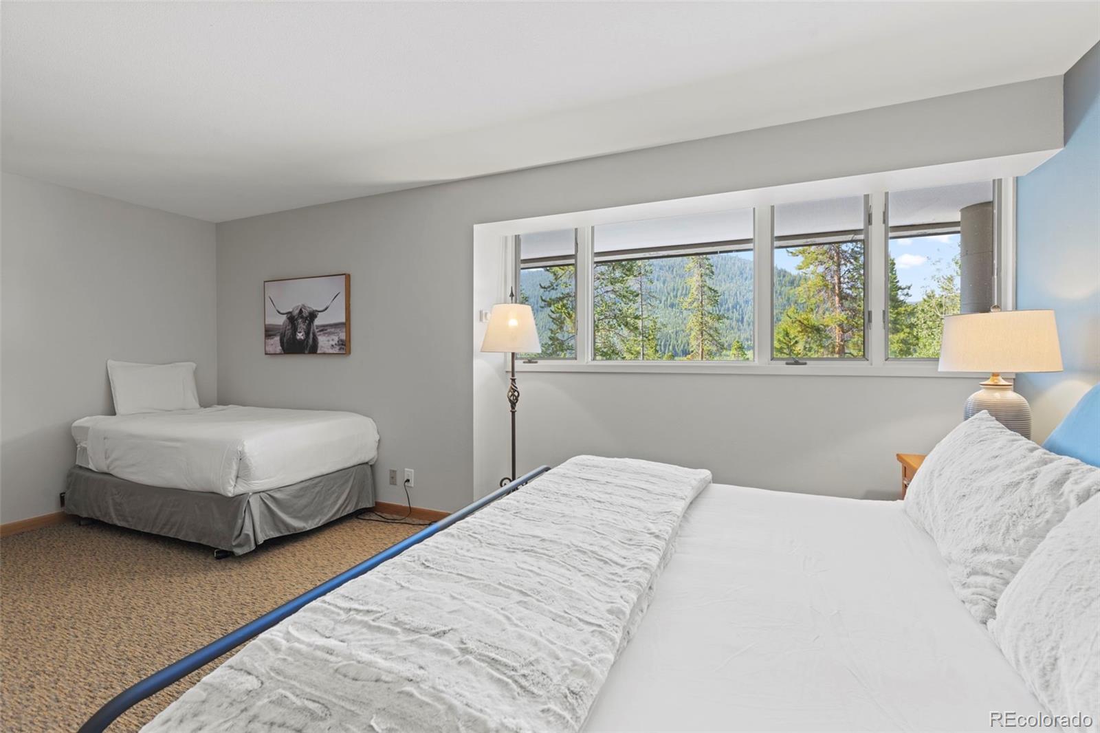 MLS Image #32 for 22097  saints john road,dillon, Colorado
