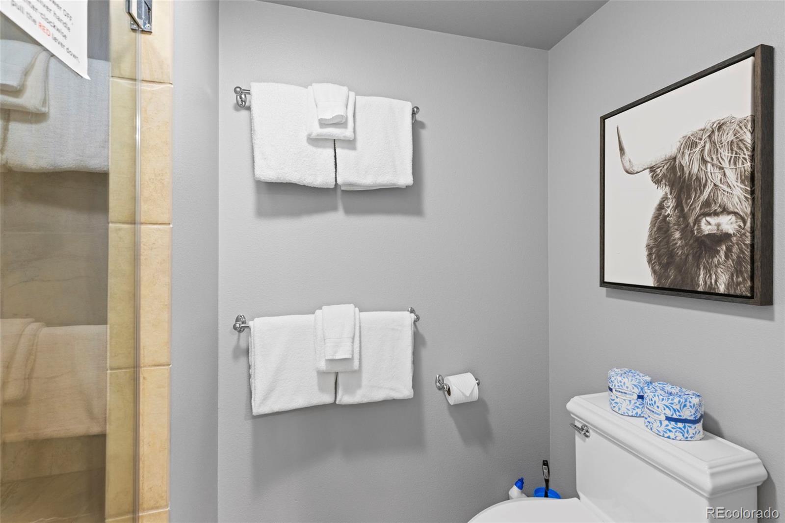 MLS Image #34 for 22097  saints john road,dillon, Colorado