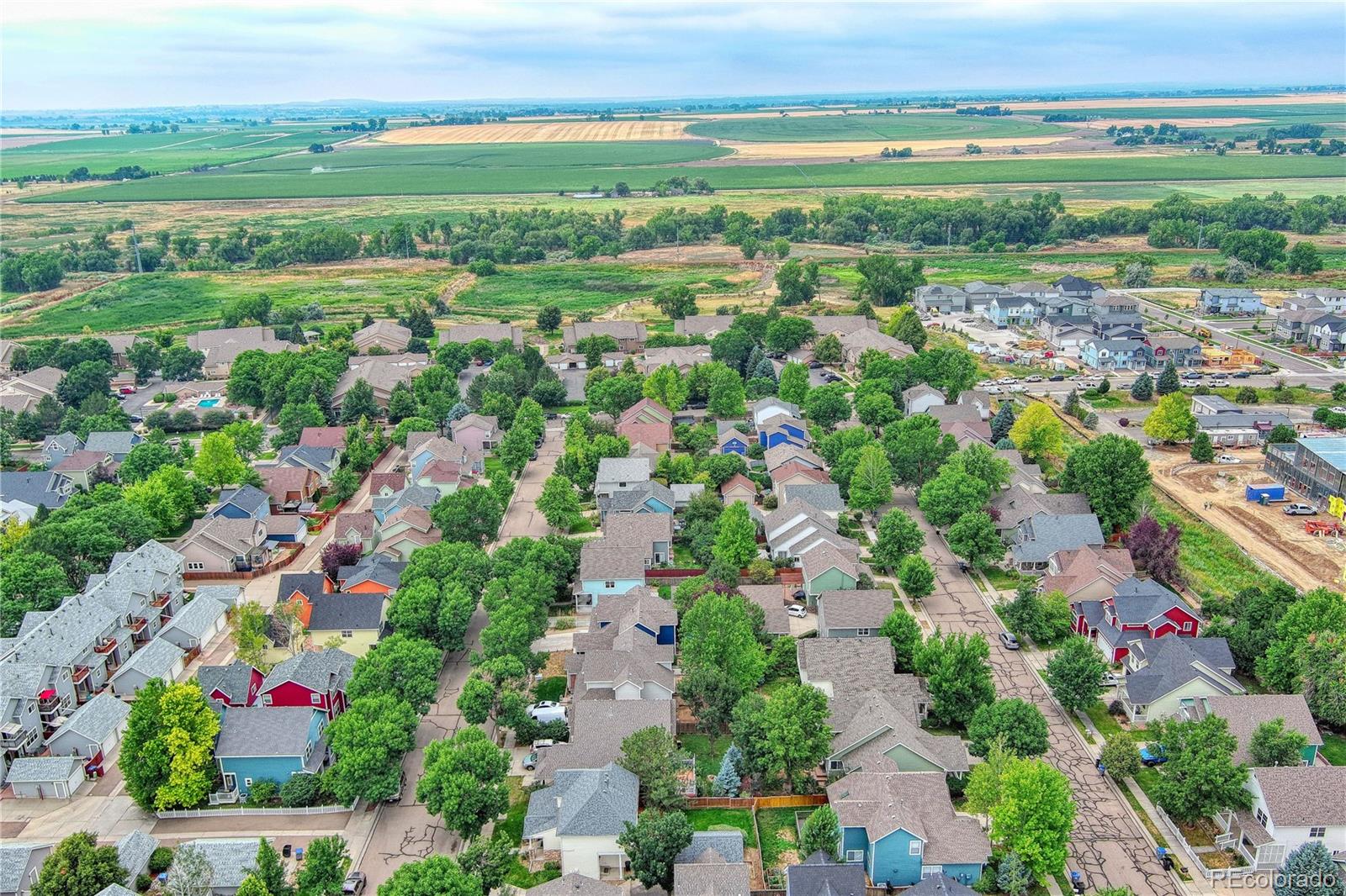 MLS Image #35 for 227  maggie street,longmont, Colorado