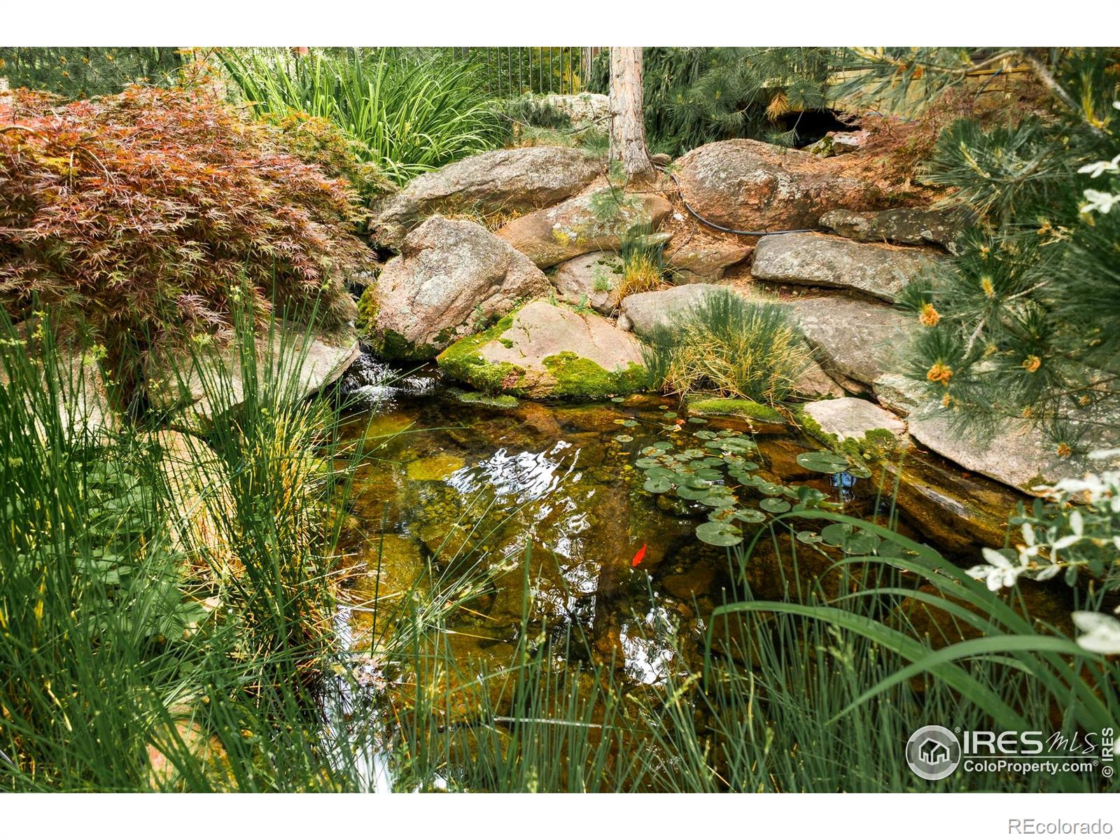 MLS Image #3 for 1498  king avenue,boulder, Colorado