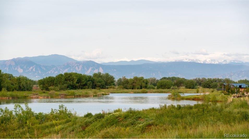 MLS Image #12 for 4329  gypsum avenue,mead, Colorado
