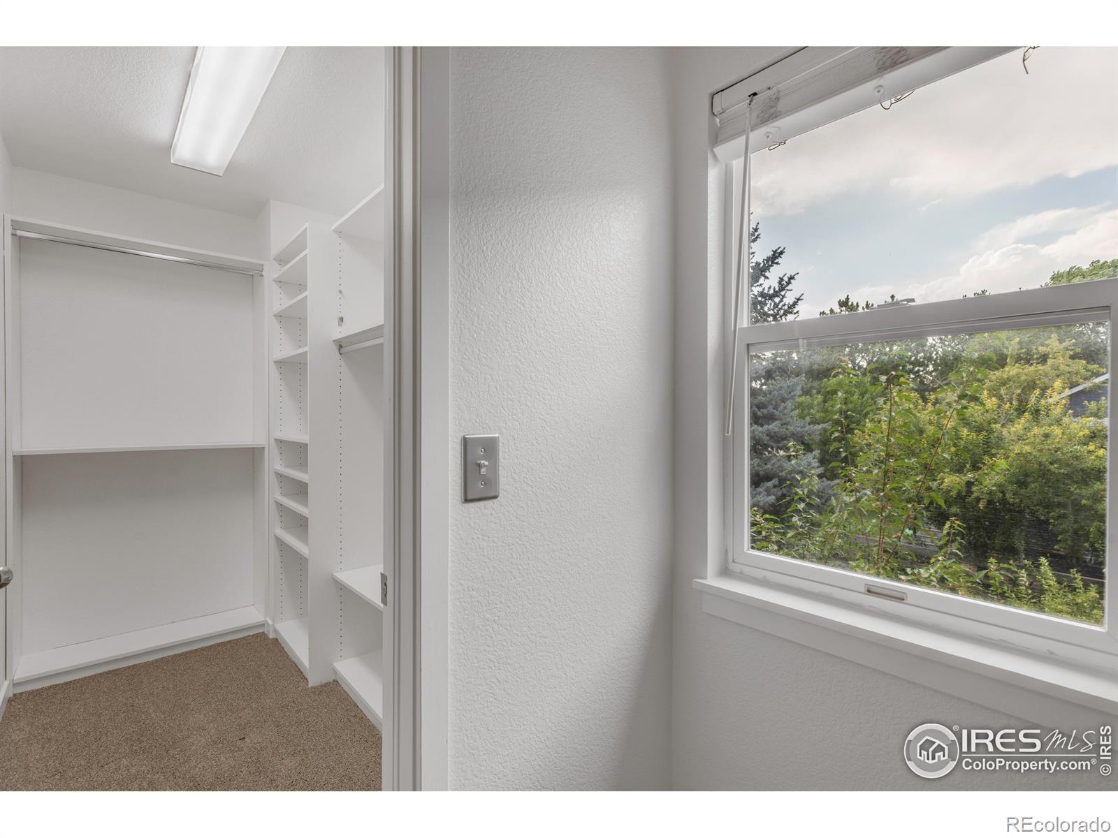 MLS Image #14 for 791  thornwood circle,longmont, Colorado
