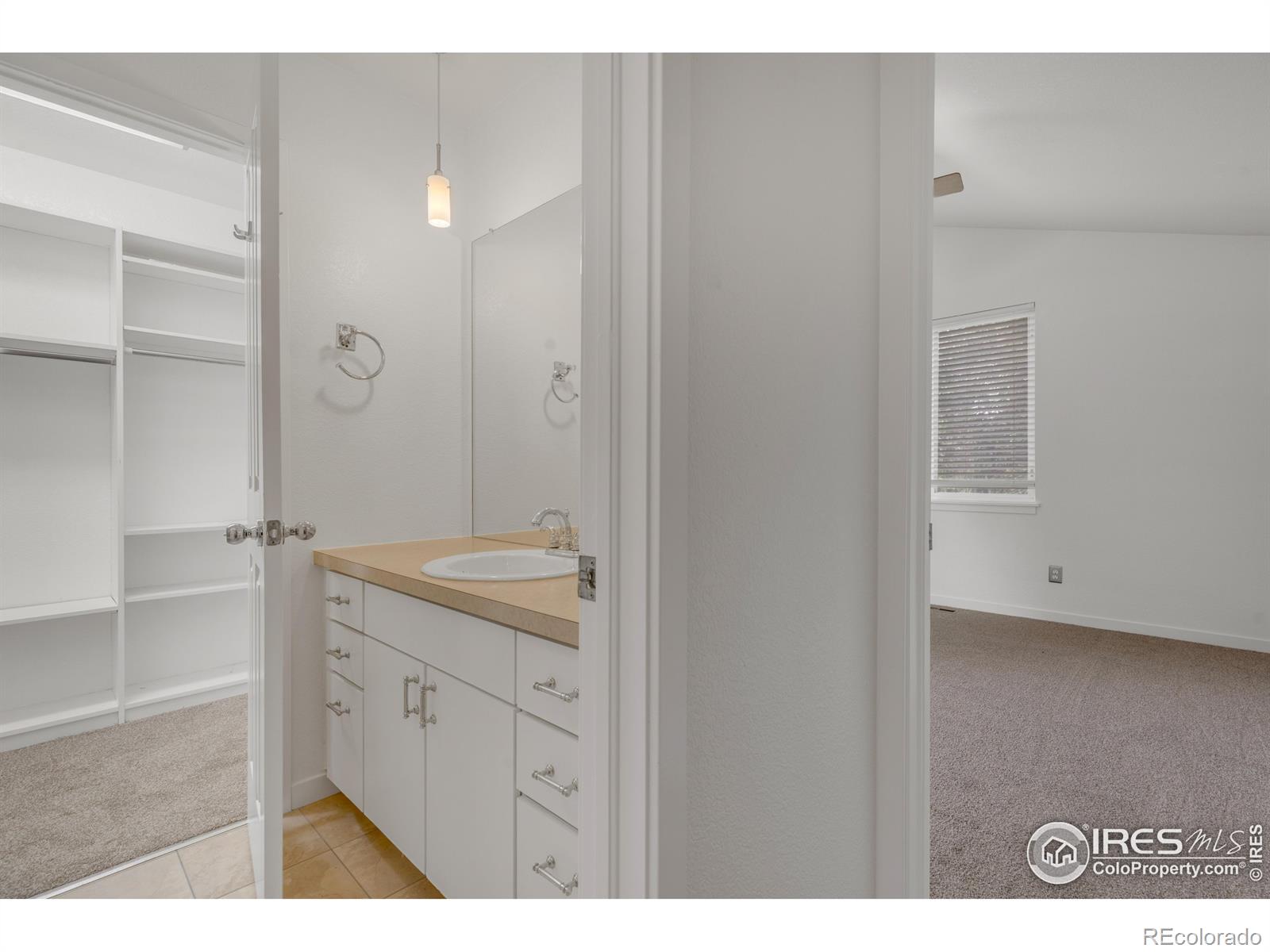MLS Image #15 for 791  thornwood circle,longmont, Colorado