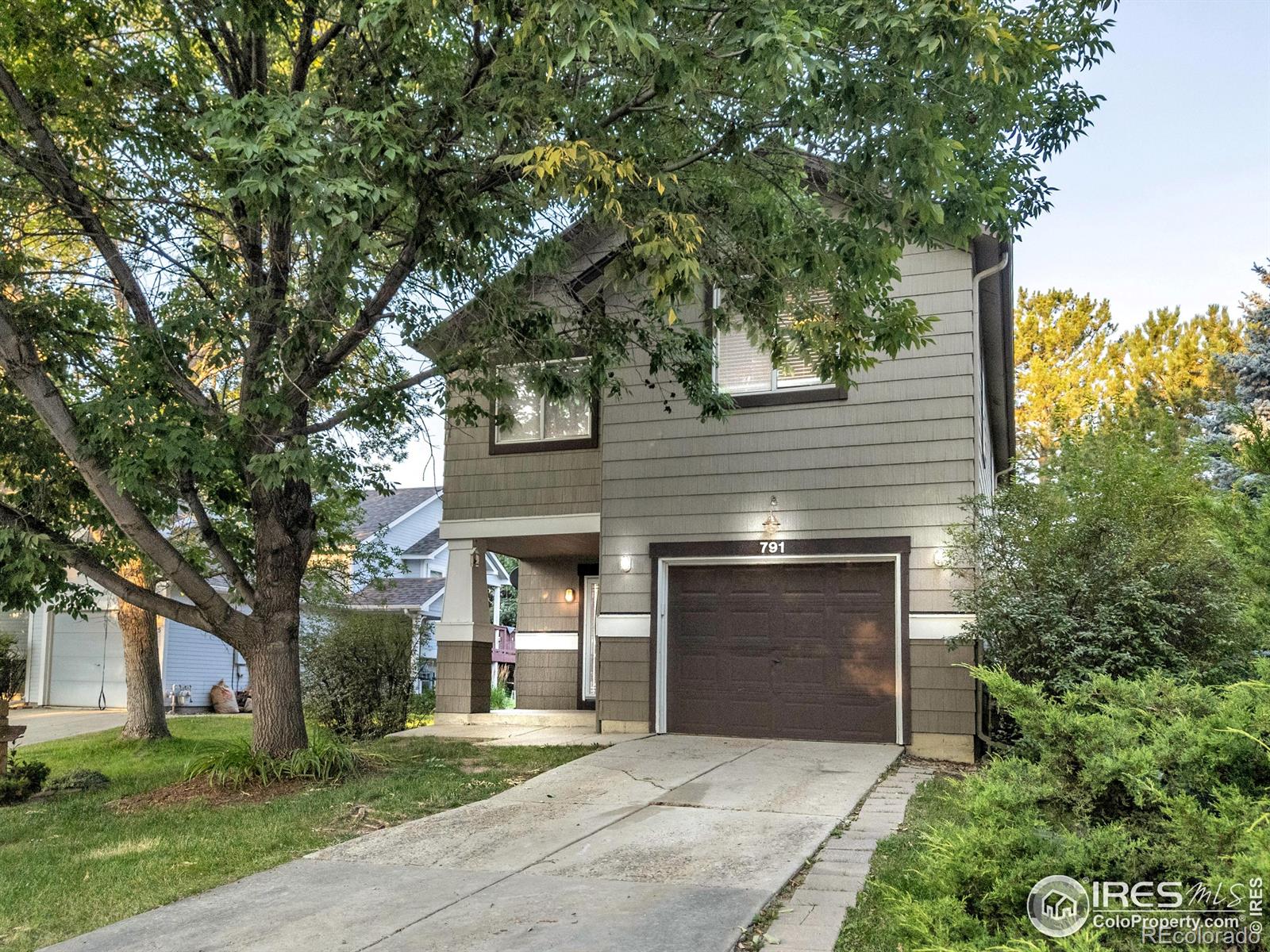 MLS Image #2 for 791  thornwood circle,longmont, Colorado