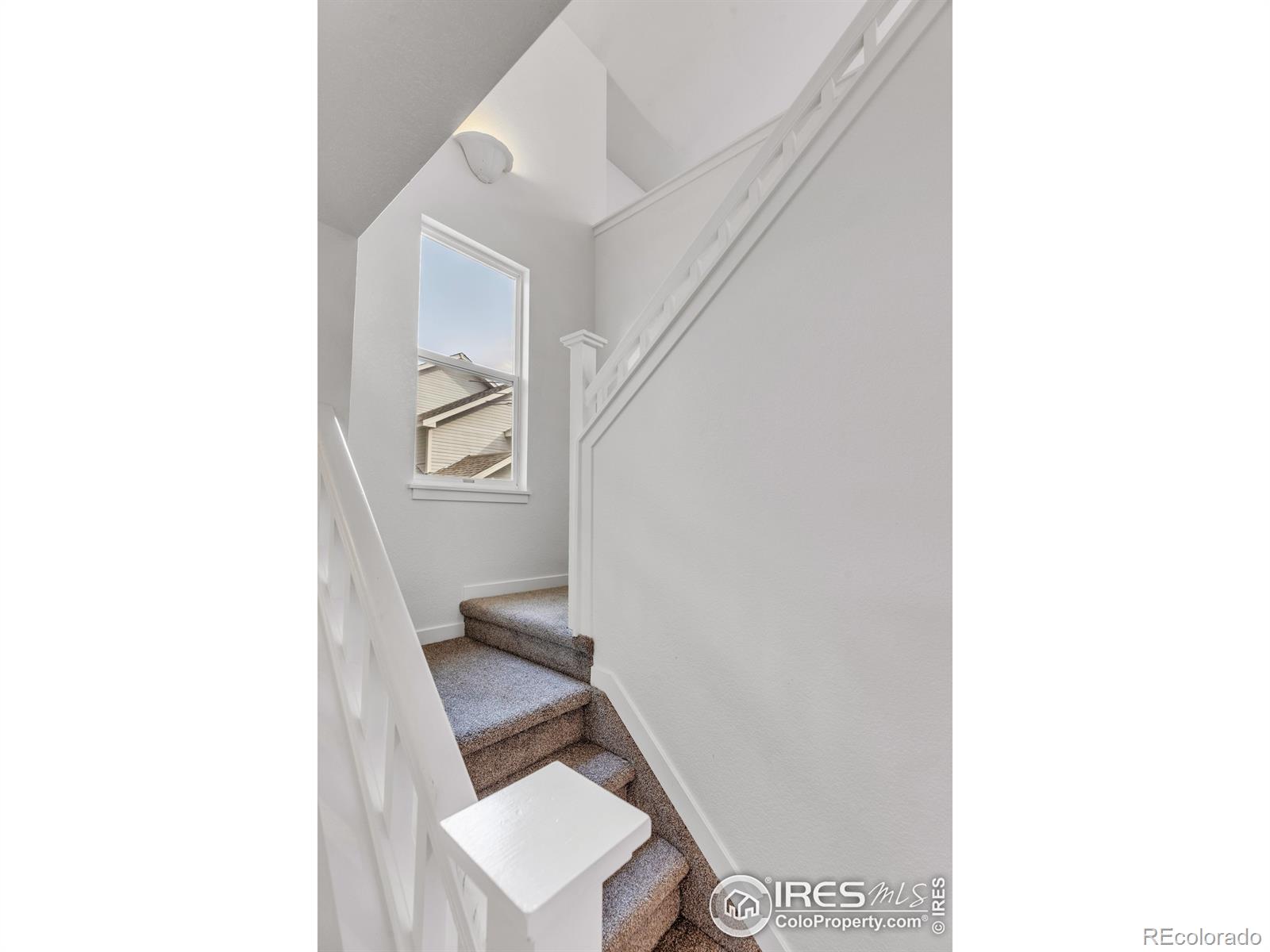 MLS Image #4 for 791  thornwood circle,longmont, Colorado