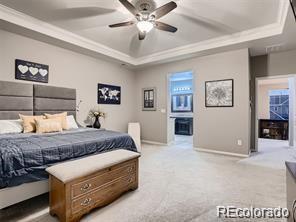 MLS Image #17 for 2794  rising moon way,castle rock, Colorado