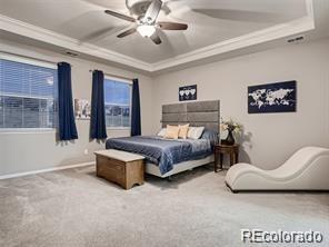MLS Image #18 for 2794  rising moon way,castle rock, Colorado