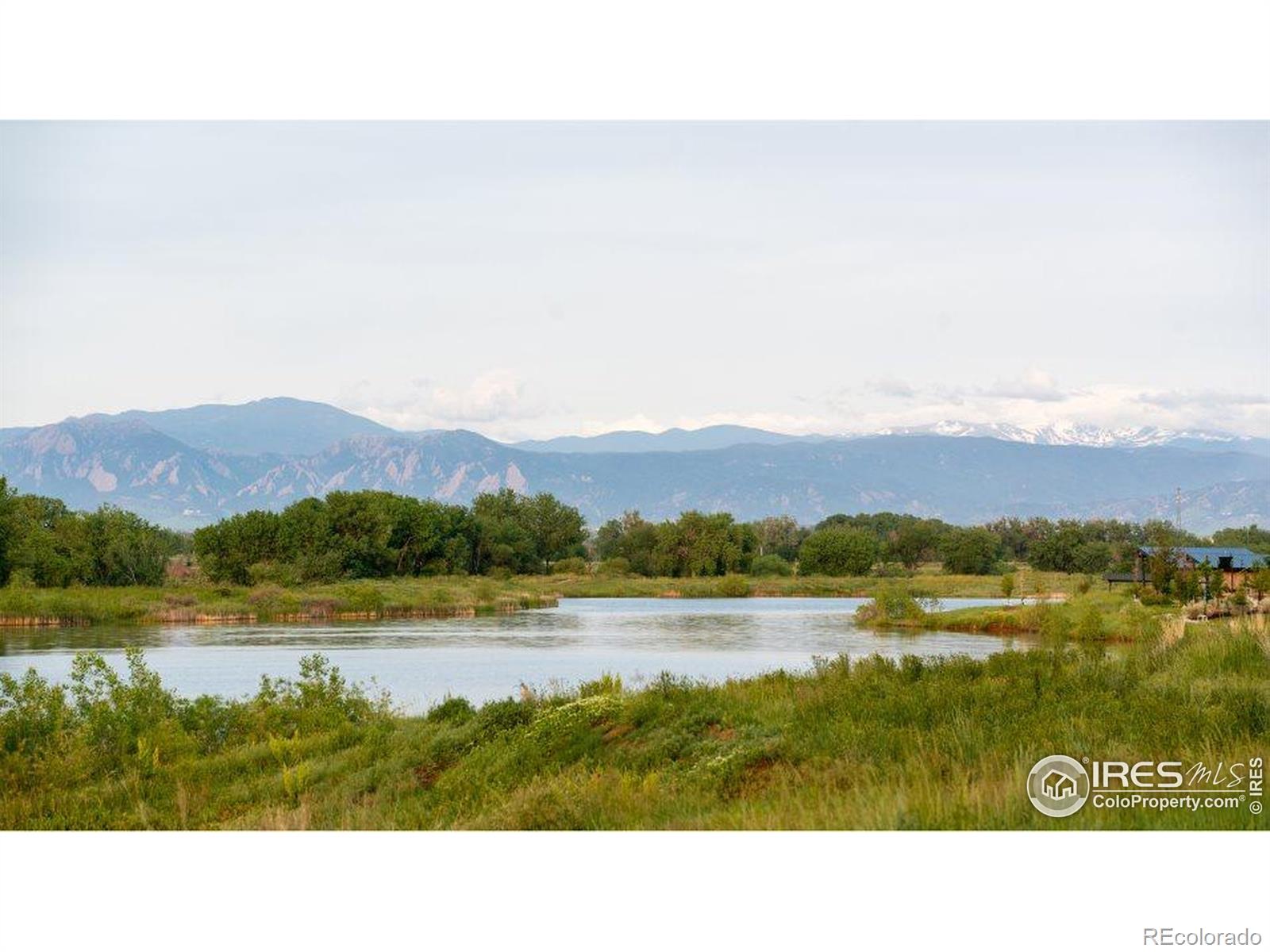 MLS Image #12 for 4329  gypsum avenue,mead, Colorado