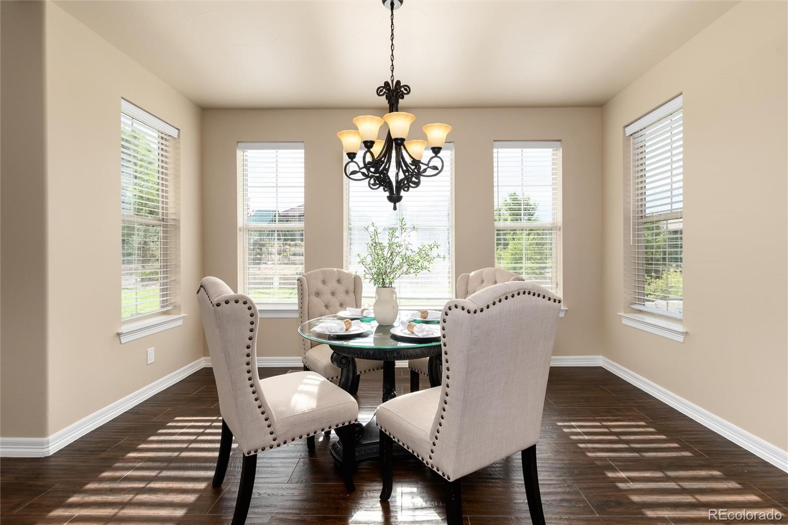 MLS Image #11 for 10703  braesheather court,highlands ranch, Colorado