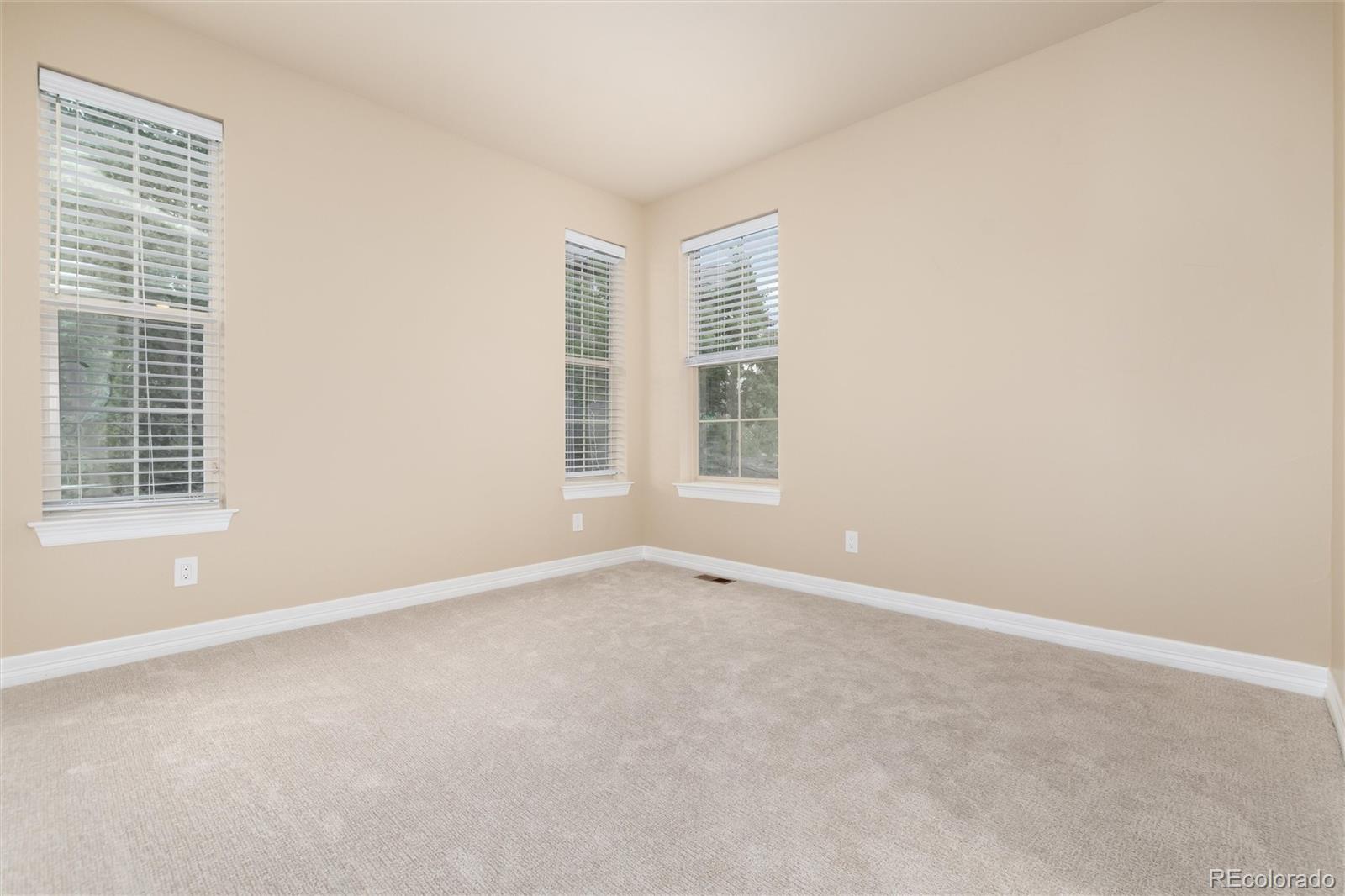 MLS Image #17 for 10703  braesheather court,highlands ranch, Colorado