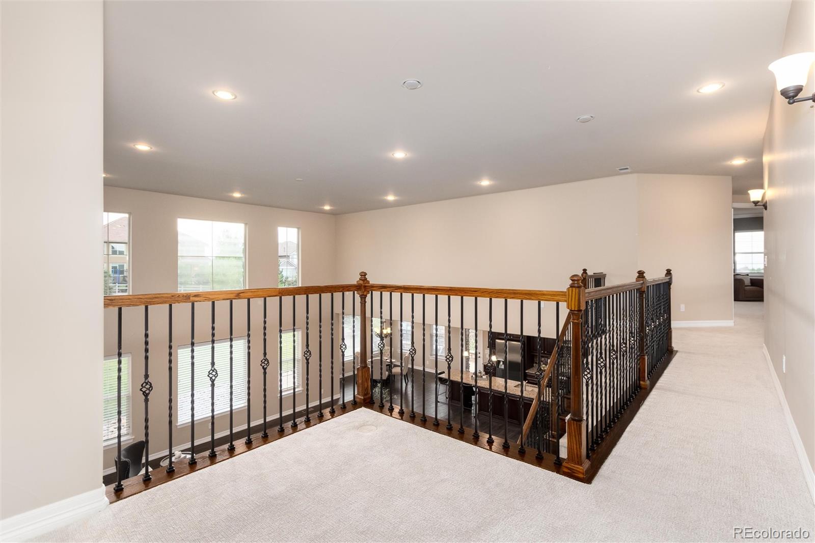 MLS Image #20 for 10703  braesheather court,highlands ranch, Colorado