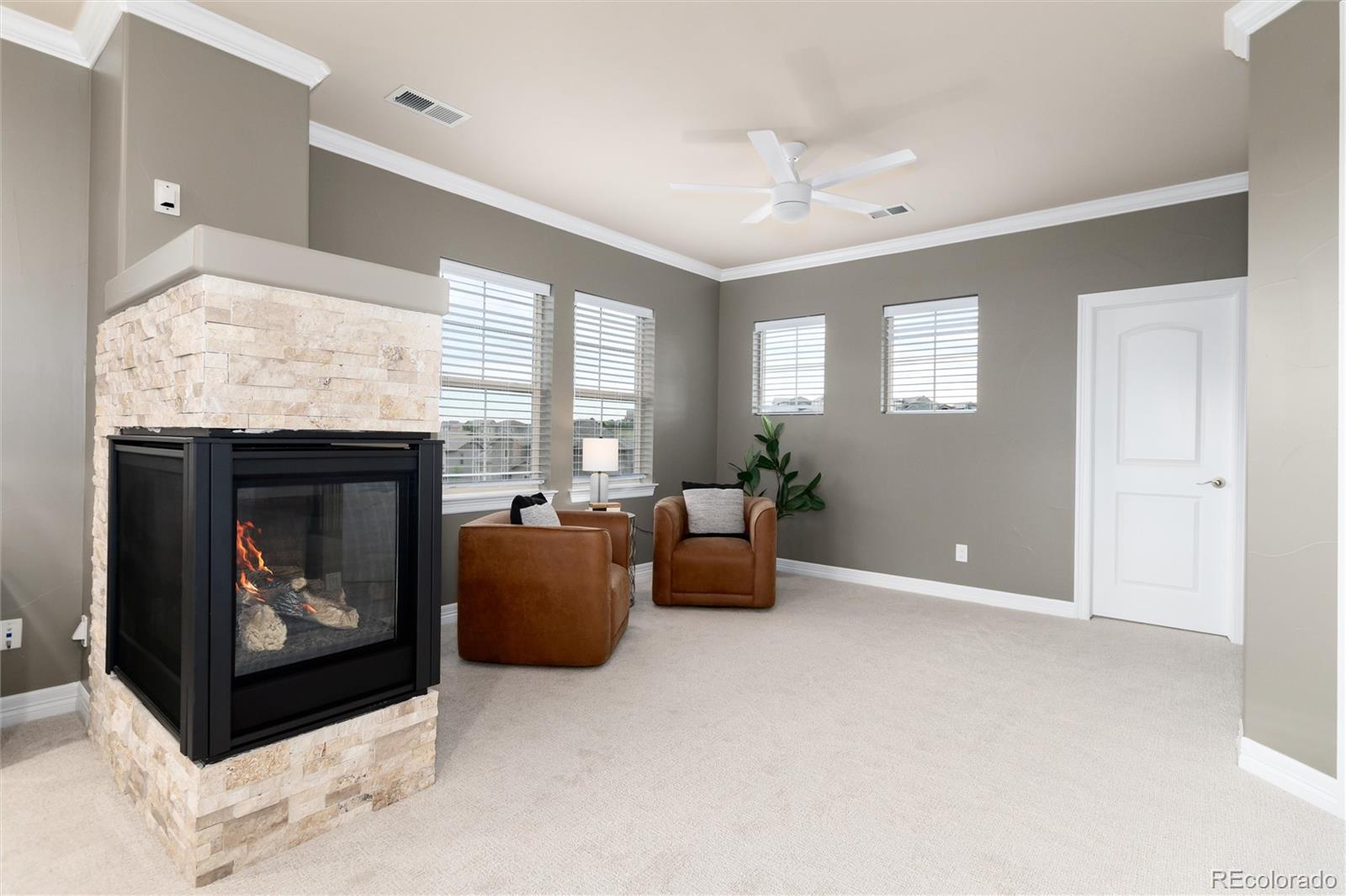 MLS Image #23 for 10703  braesheather court,highlands ranch, Colorado