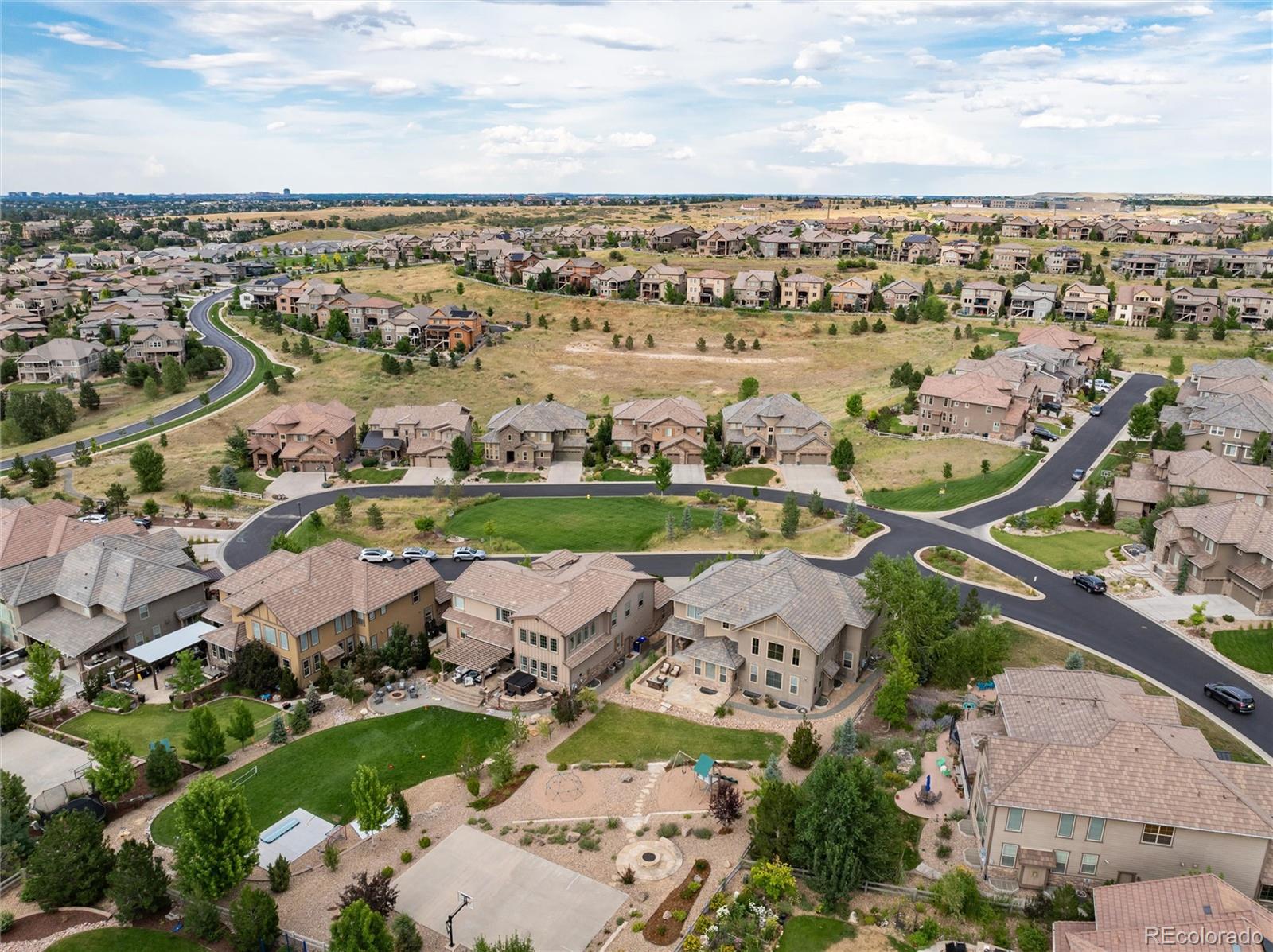 MLS Image #41 for 10703  braesheather court,highlands ranch, Colorado
