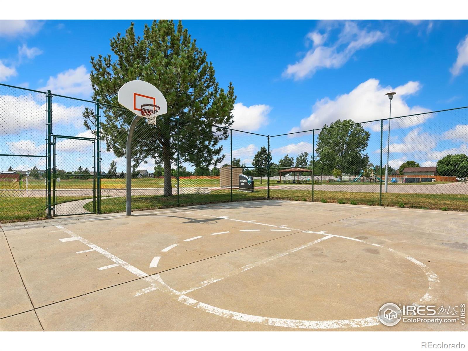 MLS Image #26 for 3740  boxelder court,wellington, Colorado
