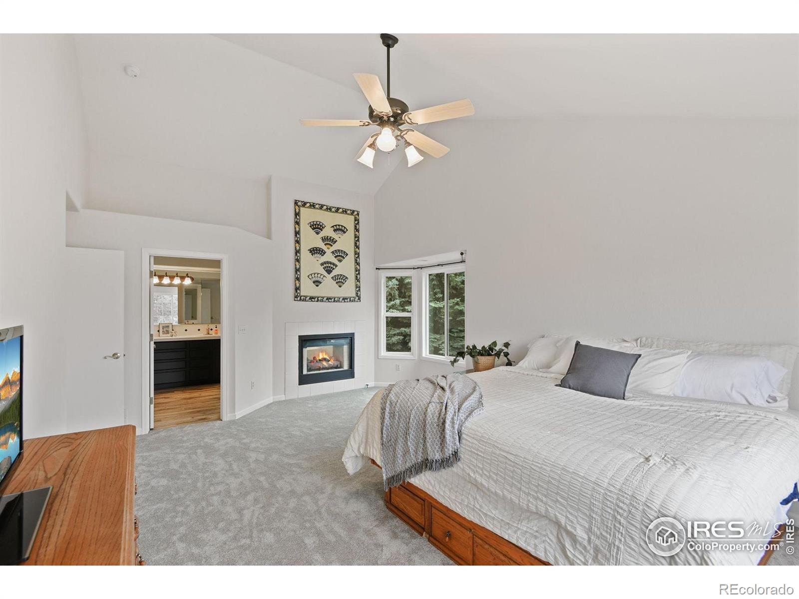 MLS Image #18 for 2237  smallwood drive,fort collins, Colorado