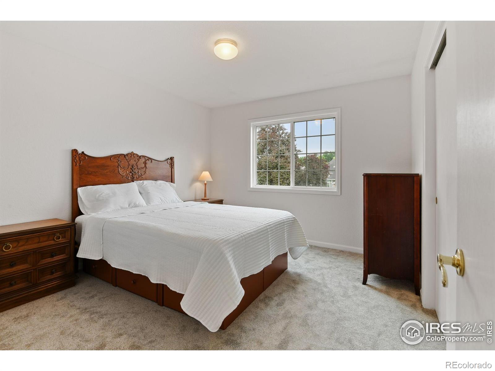 MLS Image #24 for 2237  smallwood drive,fort collins, Colorado