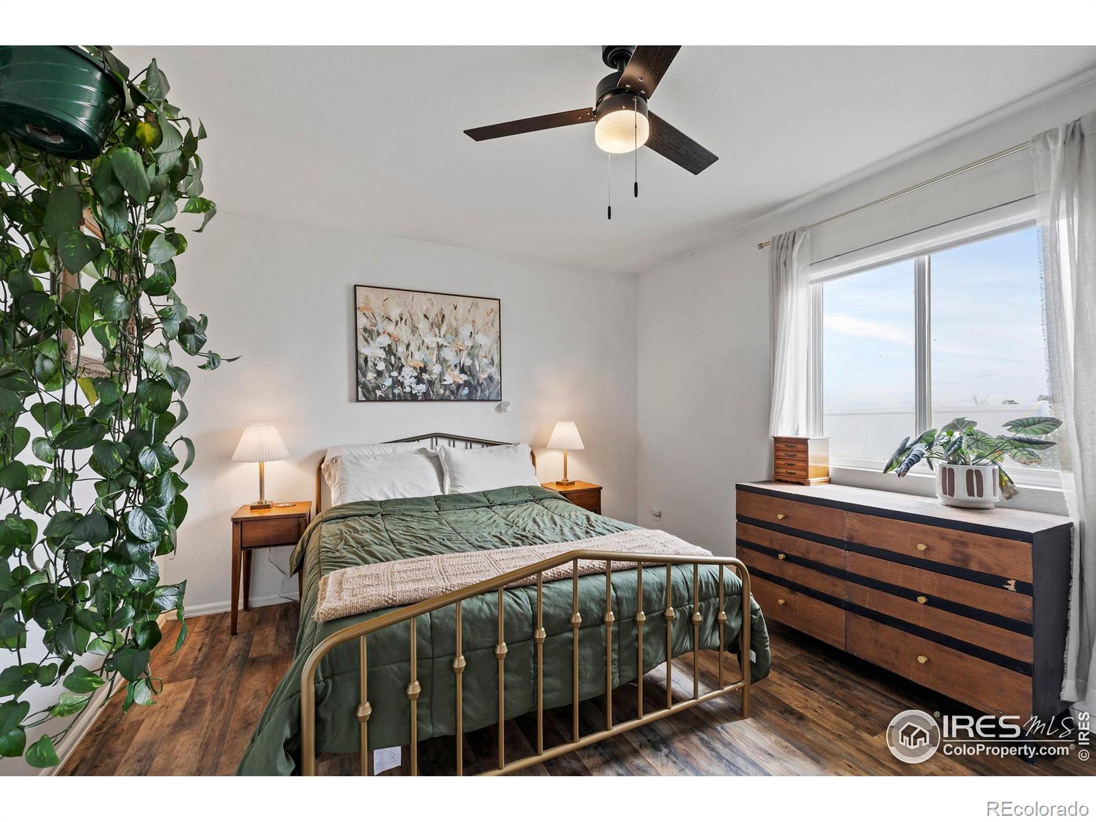 MLS Image #12 for 2539  bearwood avenue,greeley, Colorado