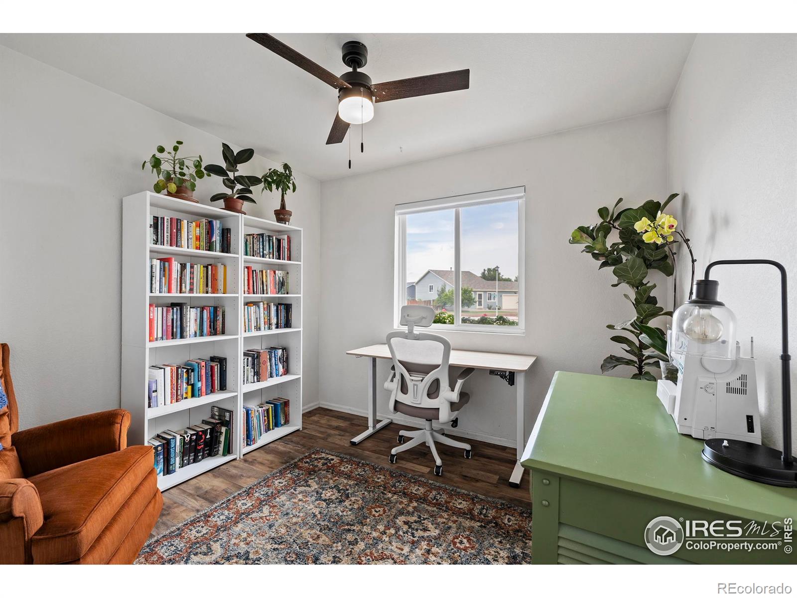 MLS Image #16 for 2539  bearwood avenue,greeley, Colorado
