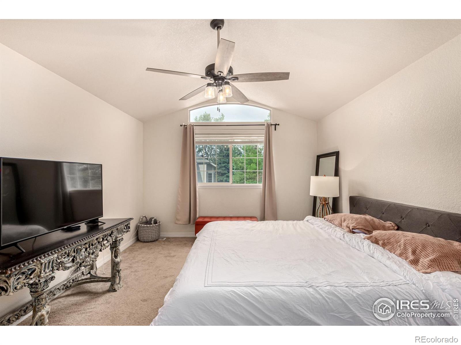 MLS Image #8 for 4500  seneca street,fort collins, Colorado