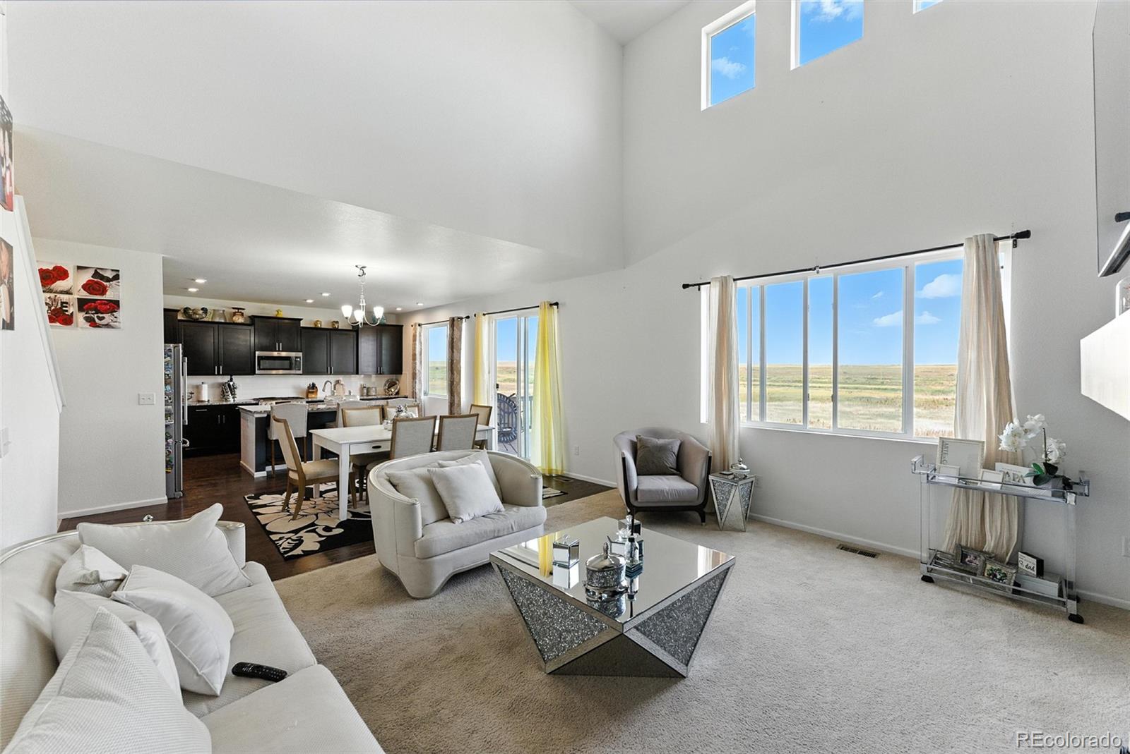 MLS Image #6 for 9383  pitkin street,commerce city, Colorado